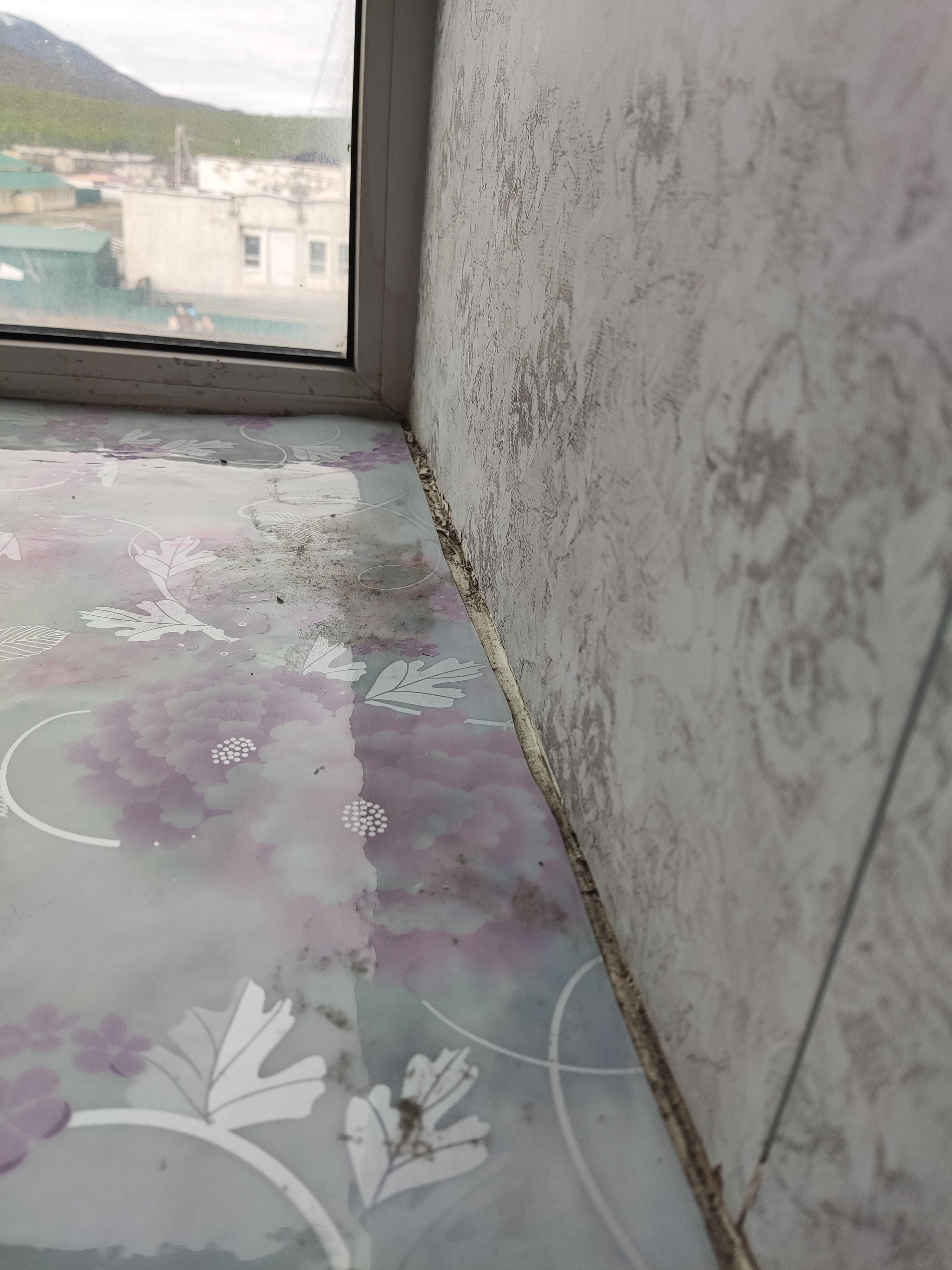 Фото Солнечная