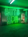 Auto-SPA (Moscow, MKAD, 24th kilometre, 1), car wash