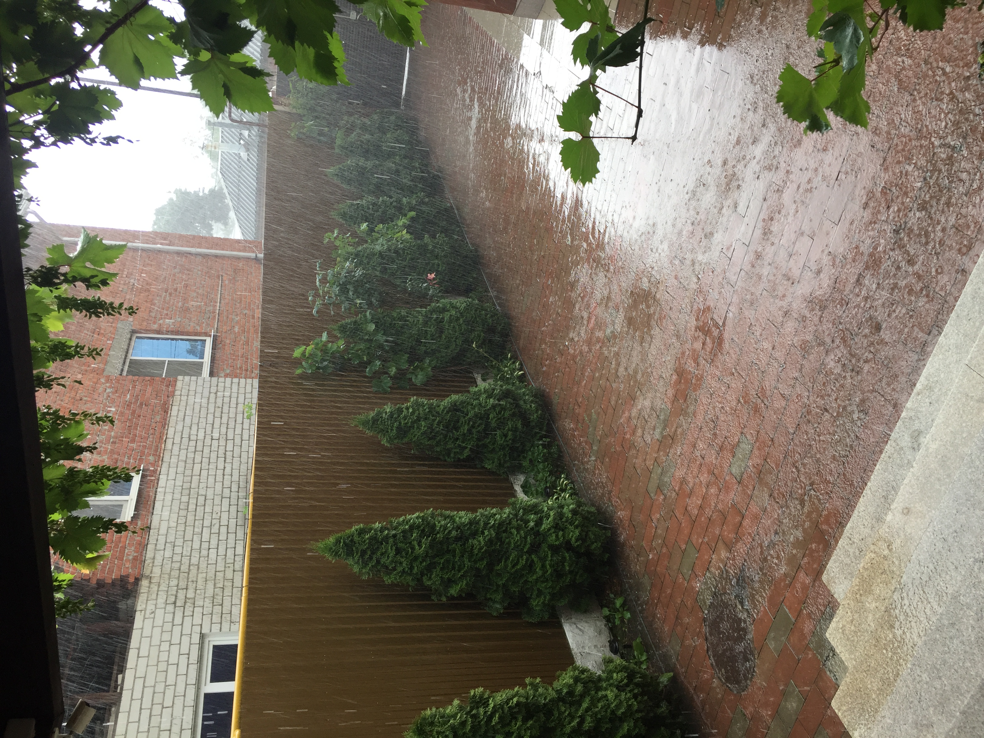 Фото Маркиз