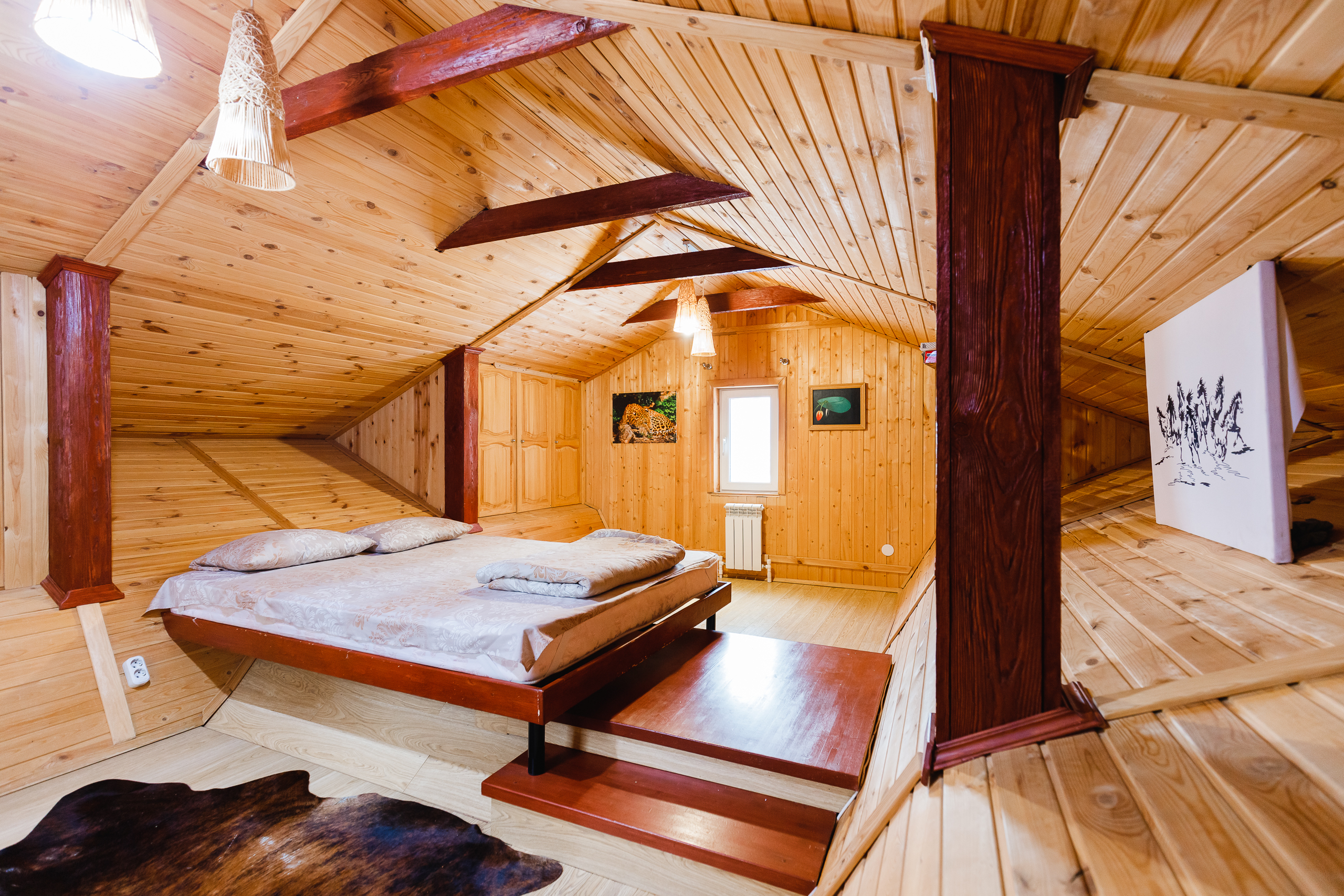 Фото Филин дом