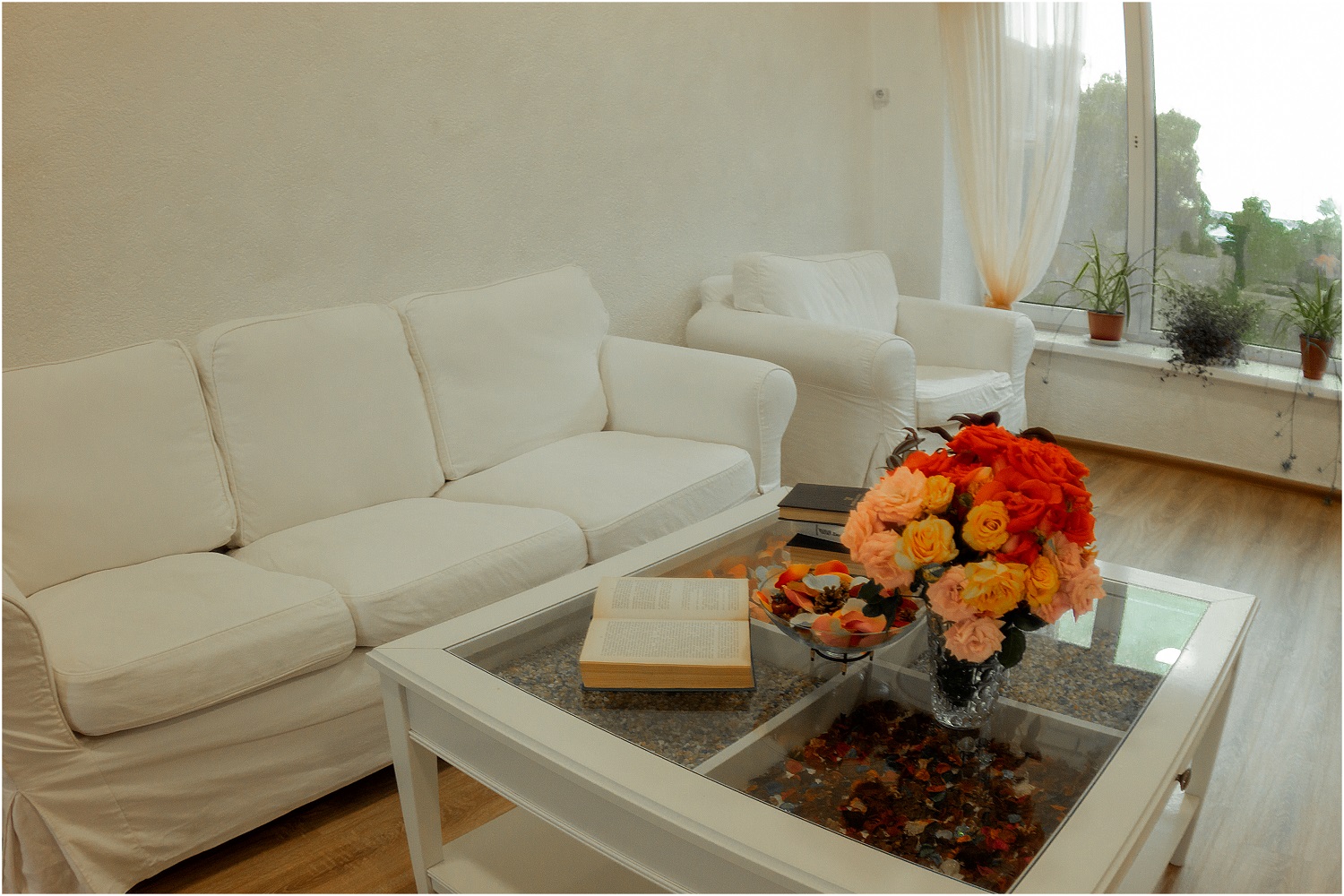 Фото Астерия