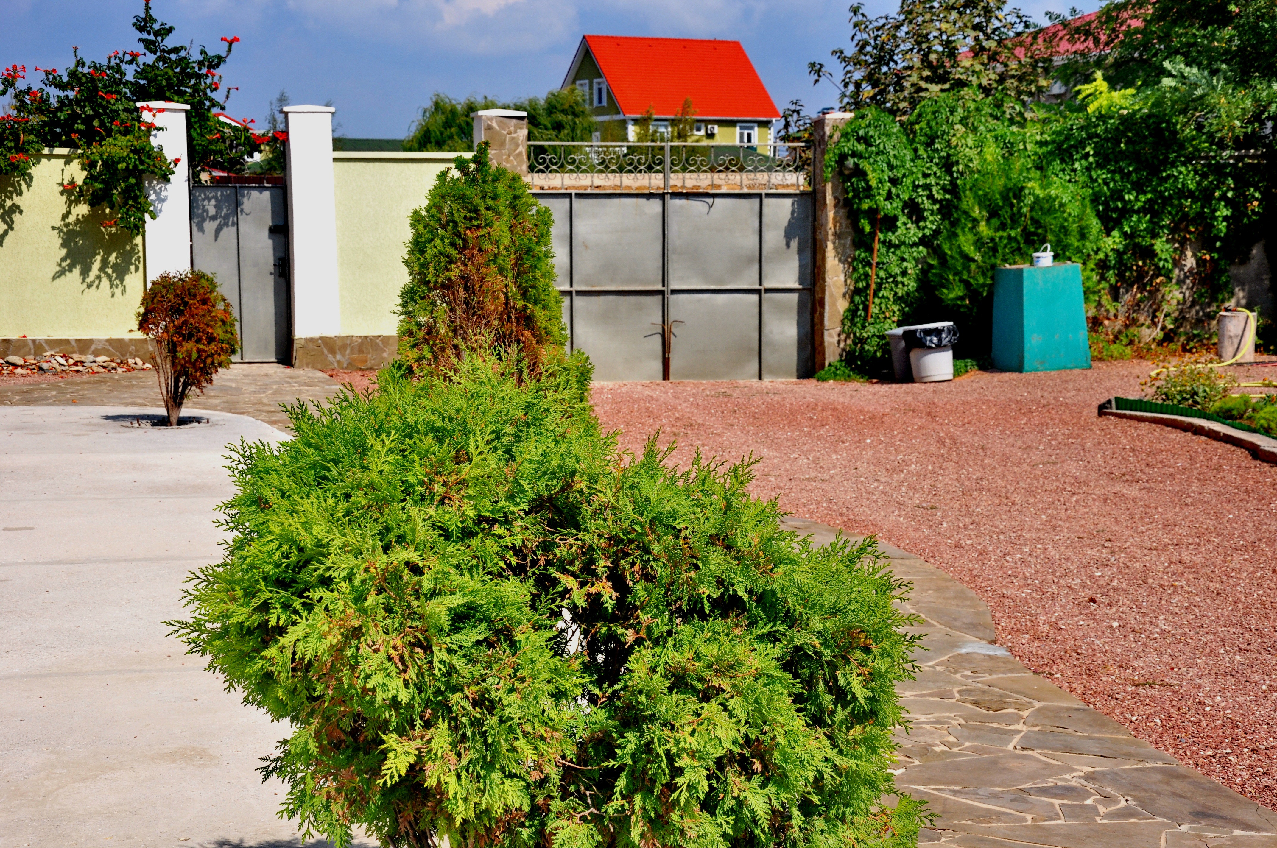 Фото Свет маяка