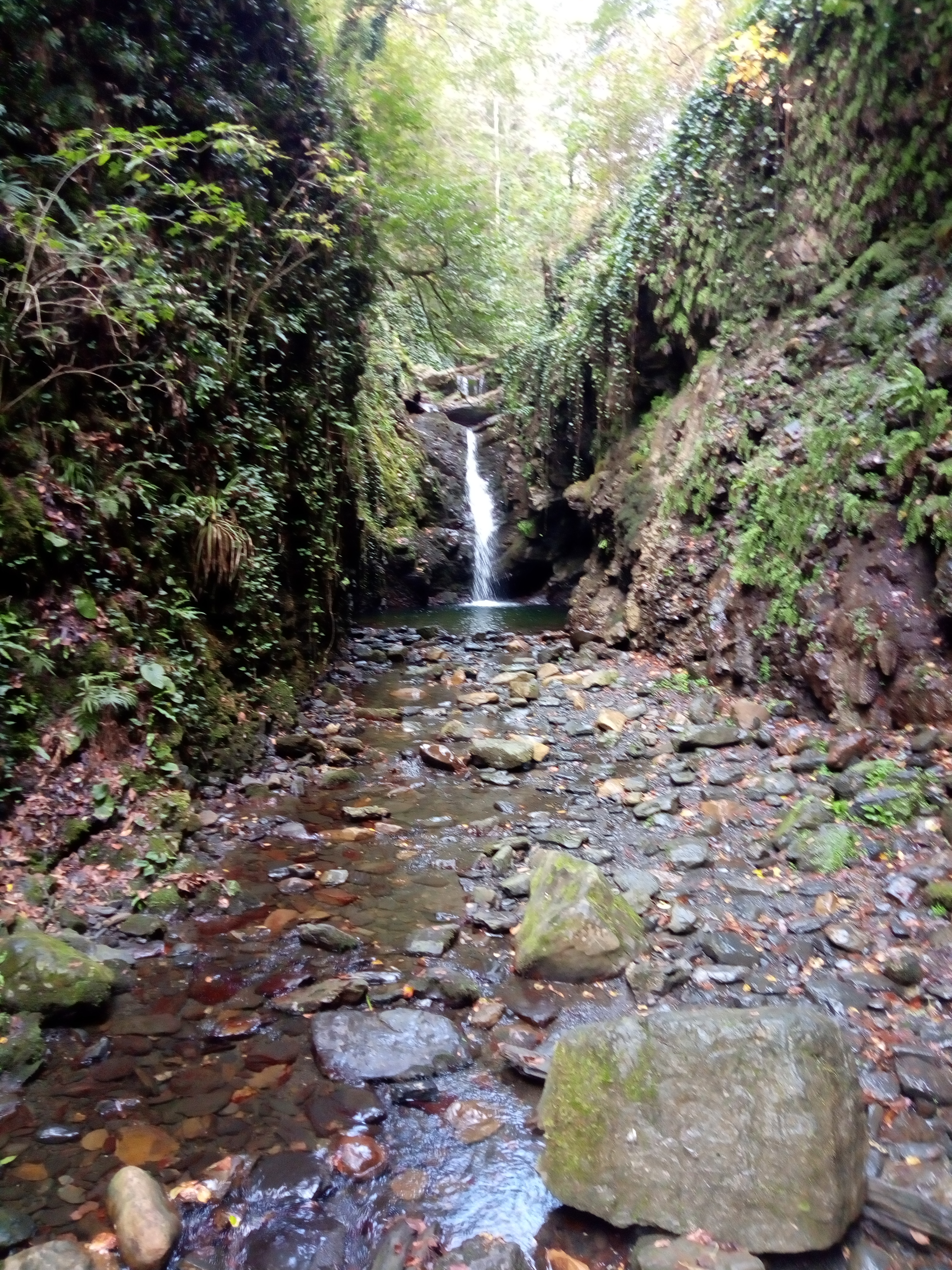 Фото Загородный дом на Мацесте