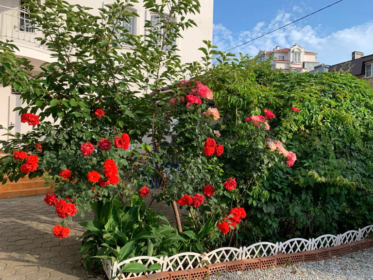 Фото Нинель