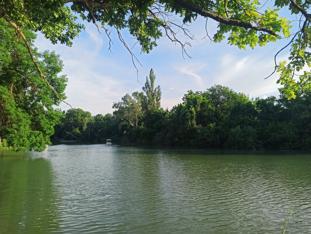 Парк культуры и отдыха Парк Имени Сорокалетия Октября, Краснодар, фото