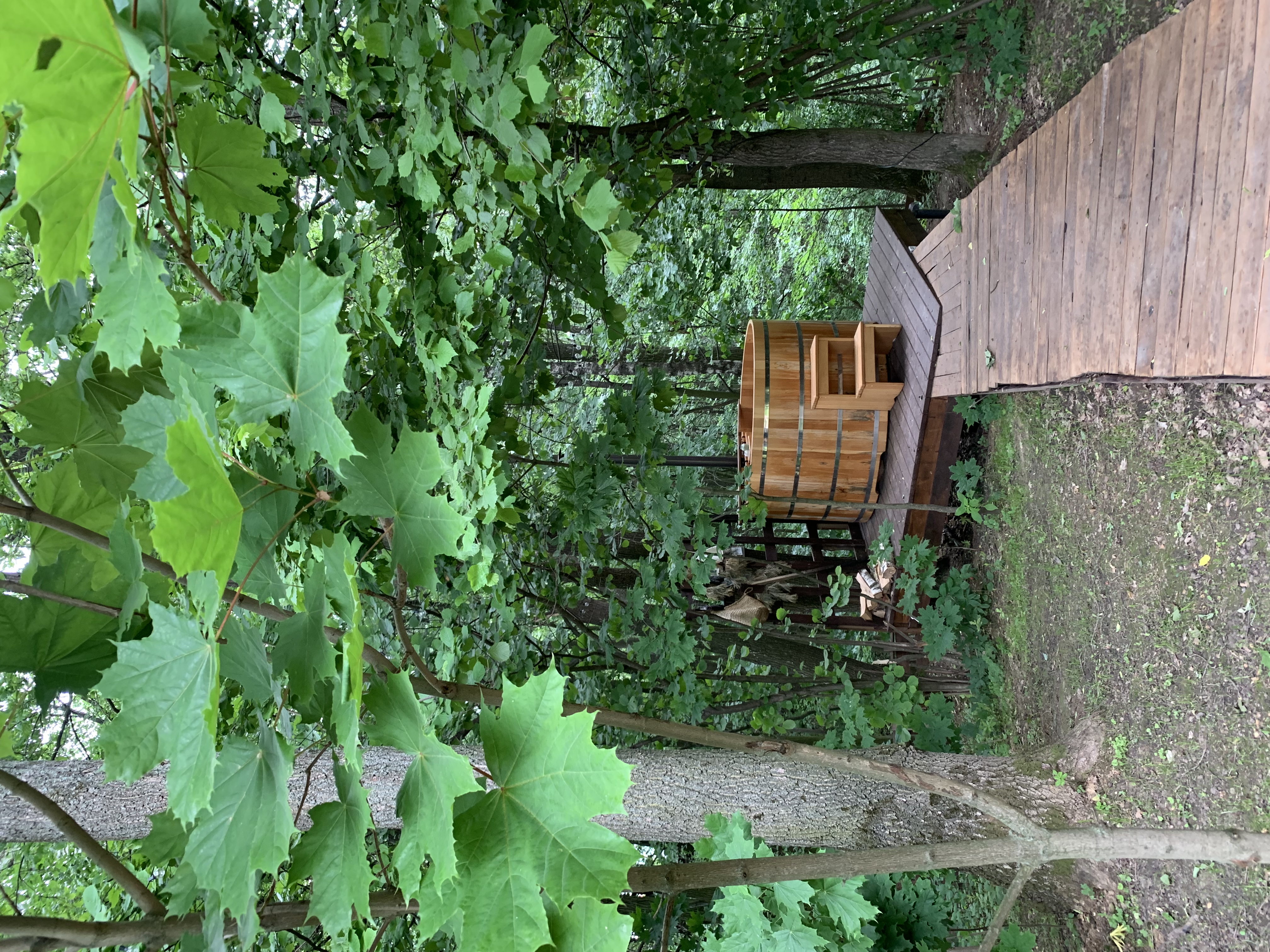 Фото Жёлуди