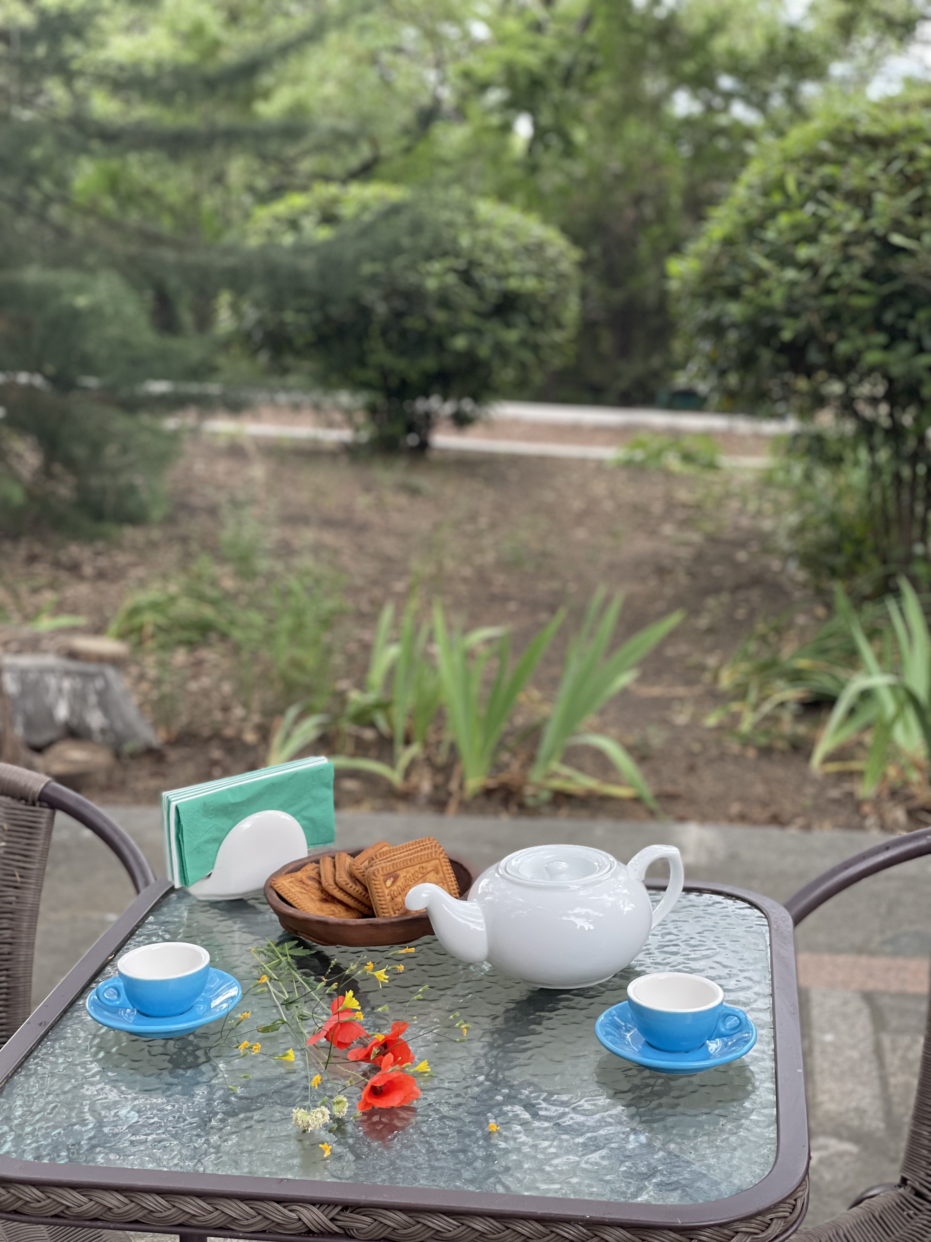 Фото Олива Парк