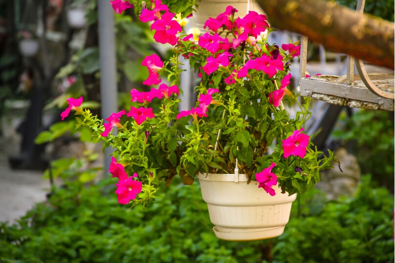 Фото Домашний уют