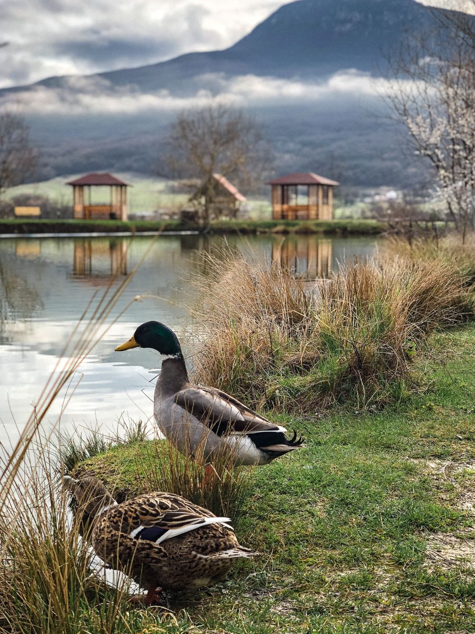 Фото Шале Бойка