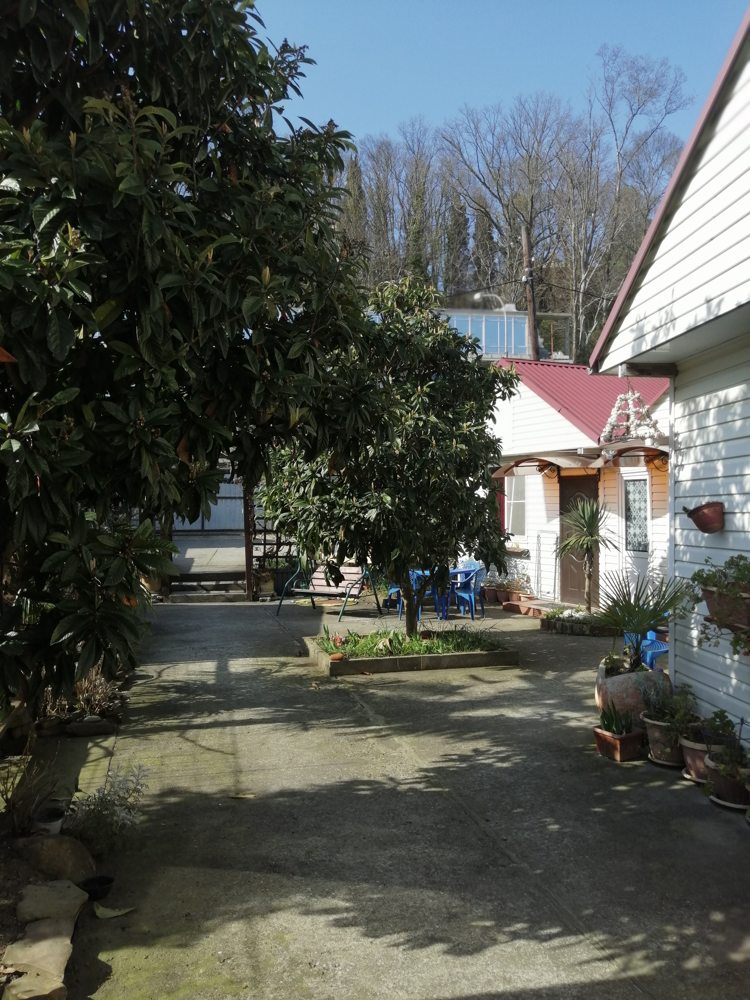 Фото Усадьба