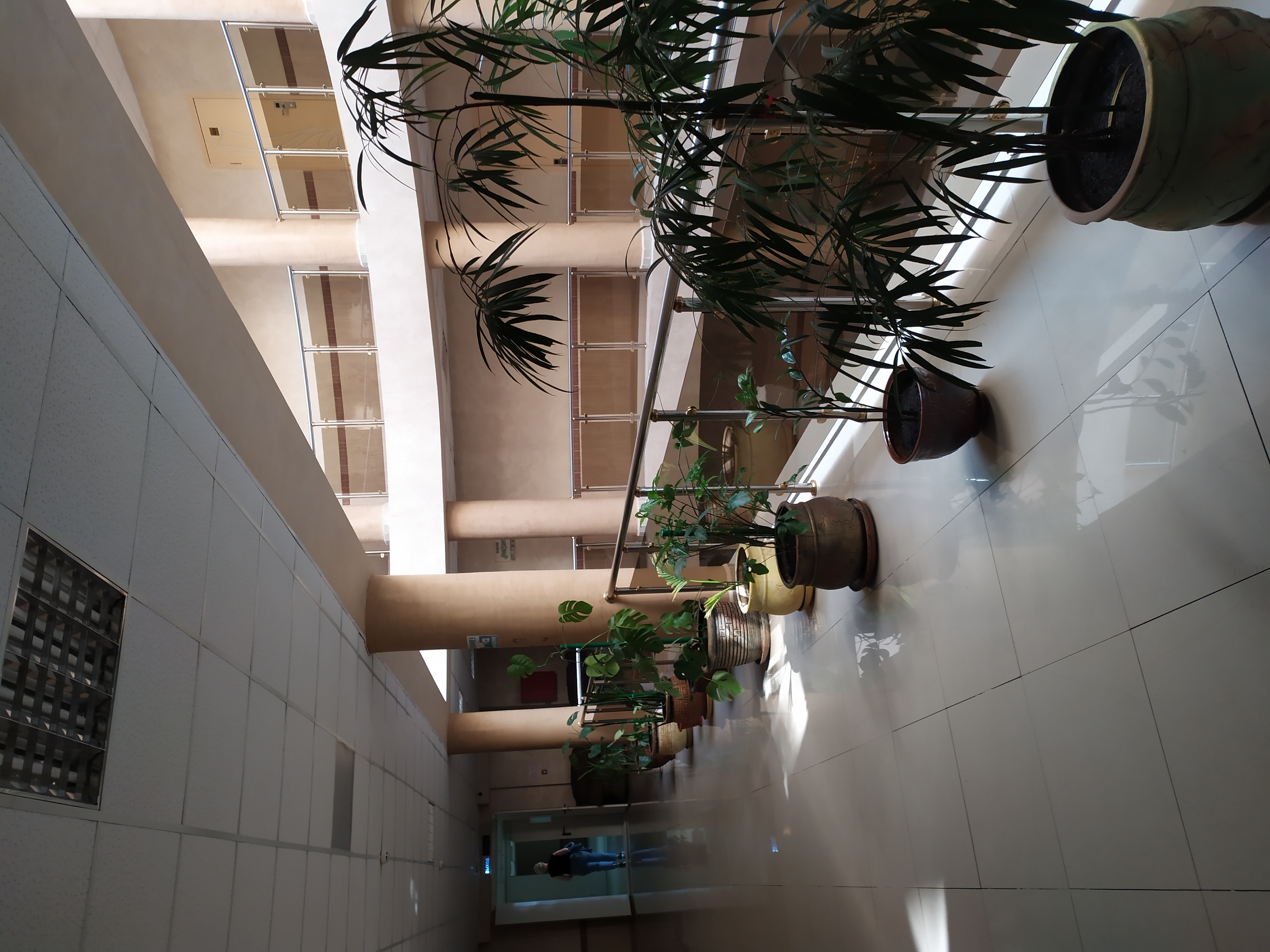 Фото Серноводск-Кавказский