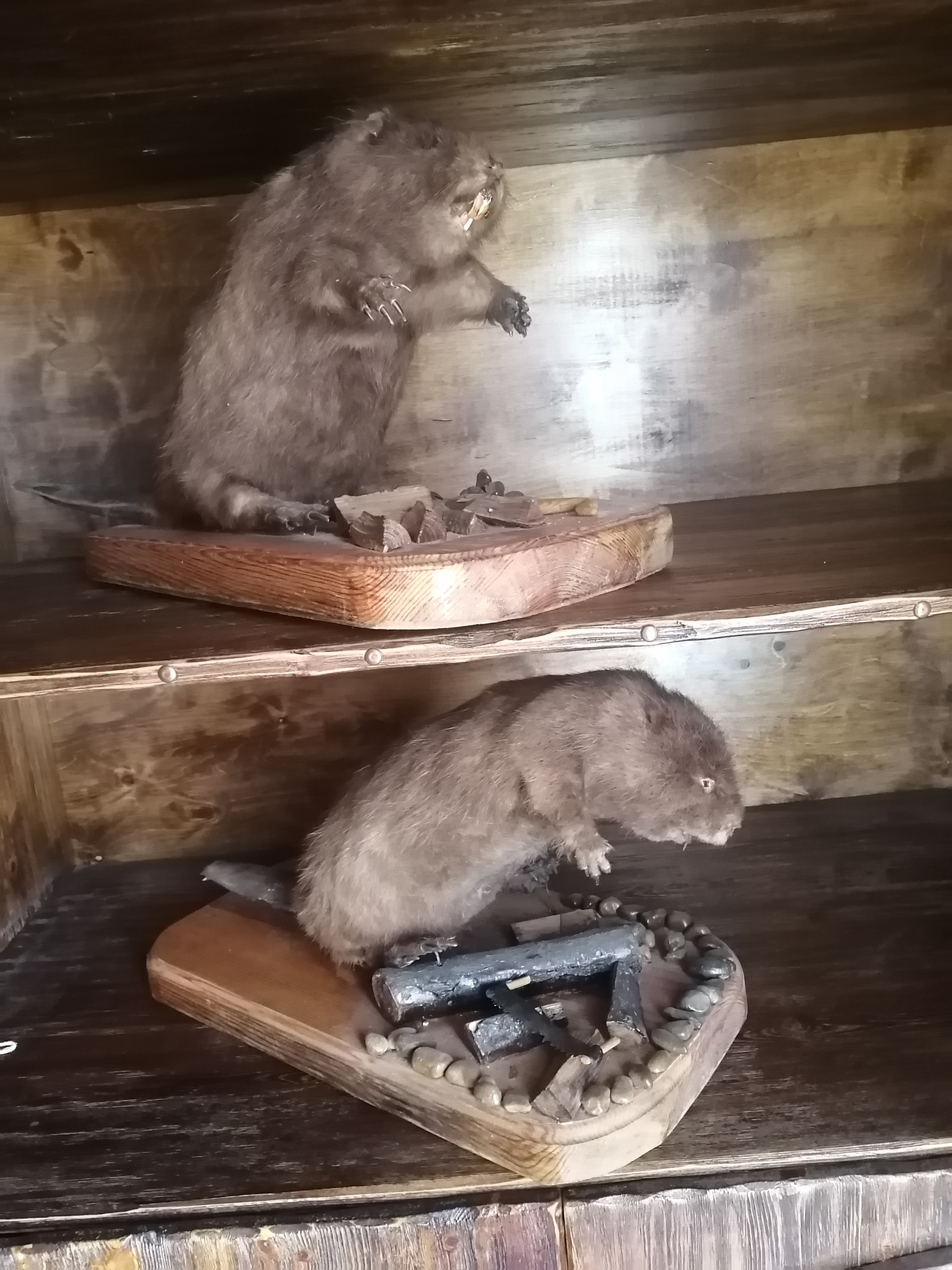 Фото 20 ВёрстЪ