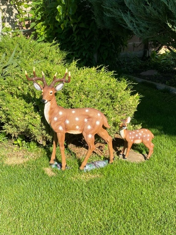 Фото ВИКТОРиЯ