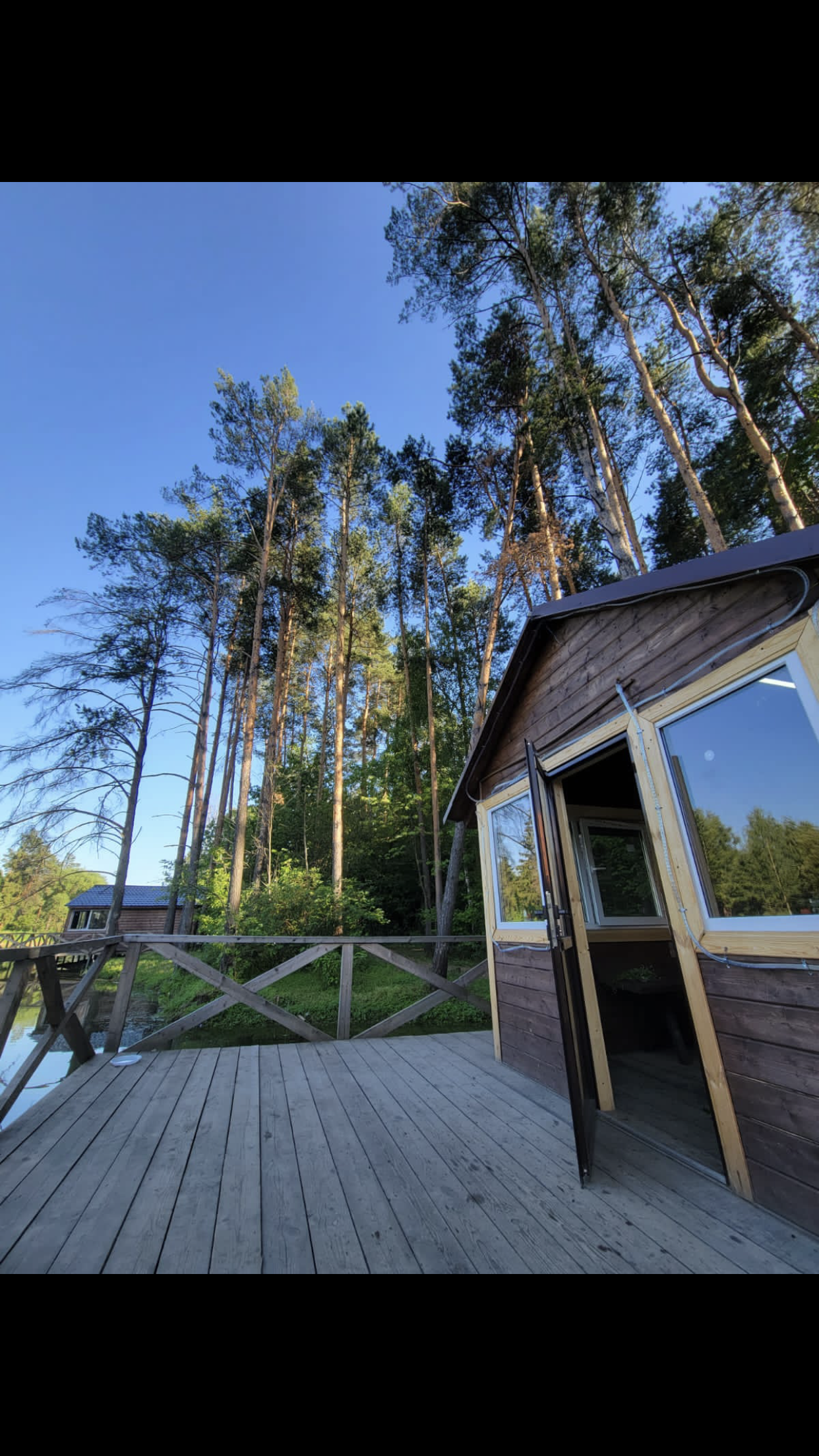 Фото Дрожжино парк