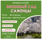 Vishnevyj sad (Naberezhnaya Street, 31), agencia de publicidad