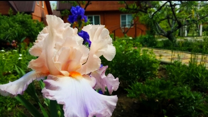 Фото Сказка