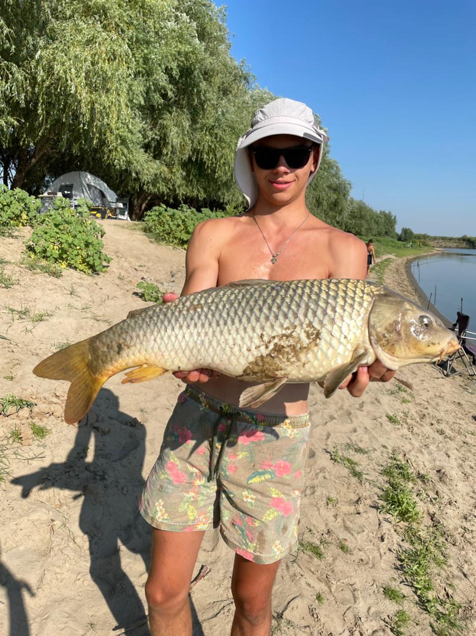 Фото Авалон