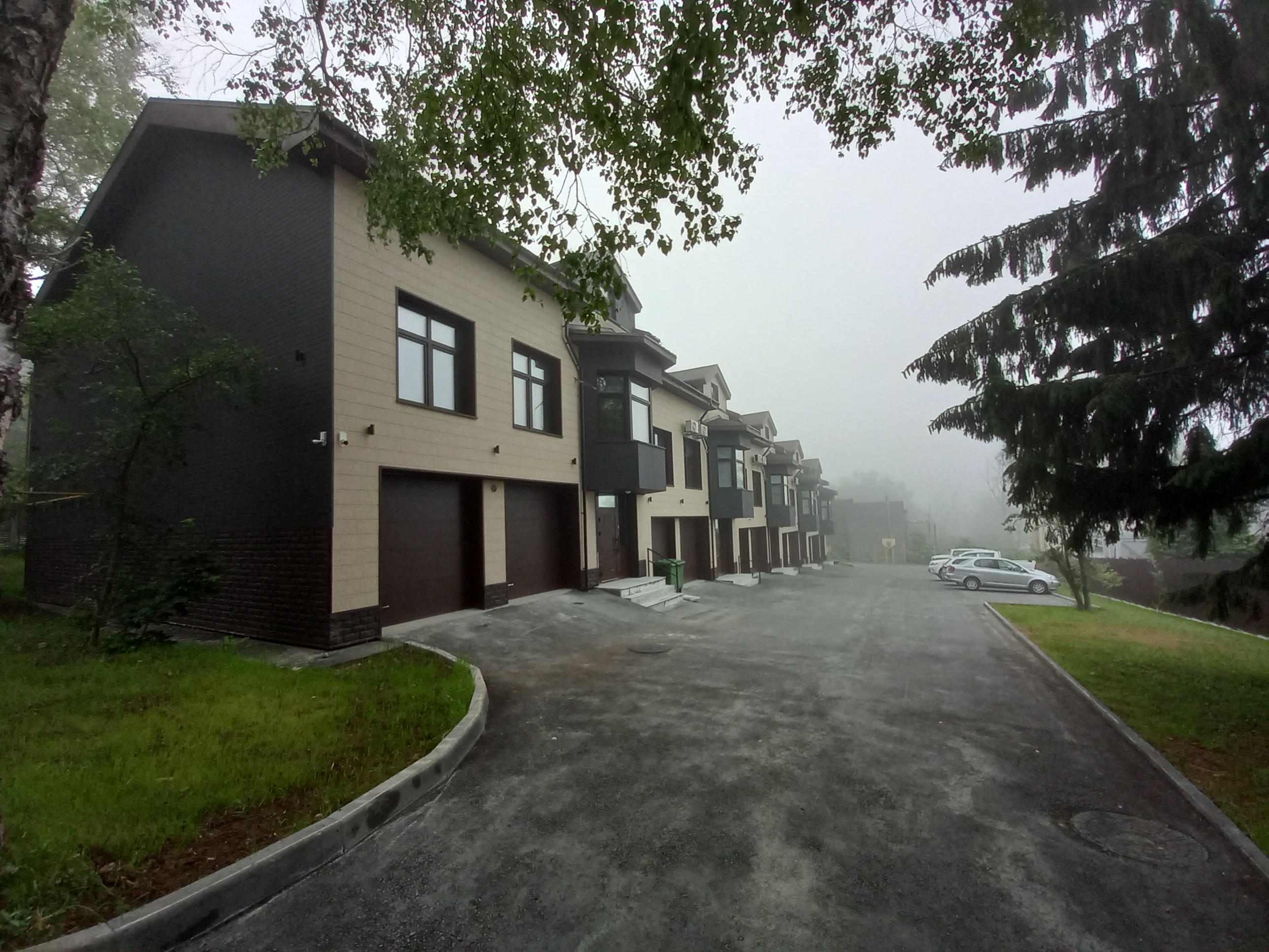 Фото Белый Снег