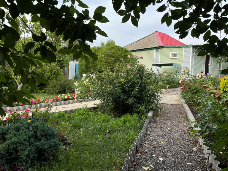 Фото Ивушка