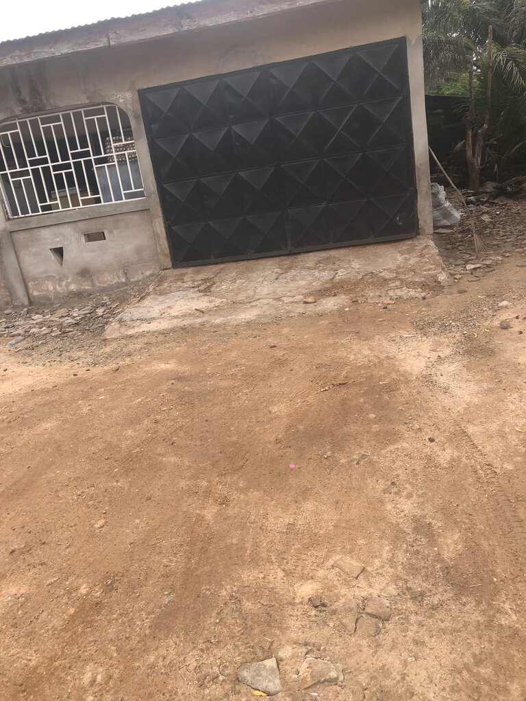 Egg and poultry meat Shopp, Earth, photo