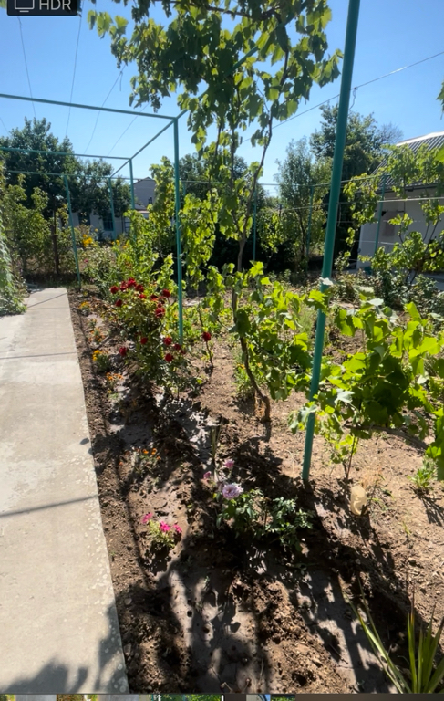 Фото Южный Берег