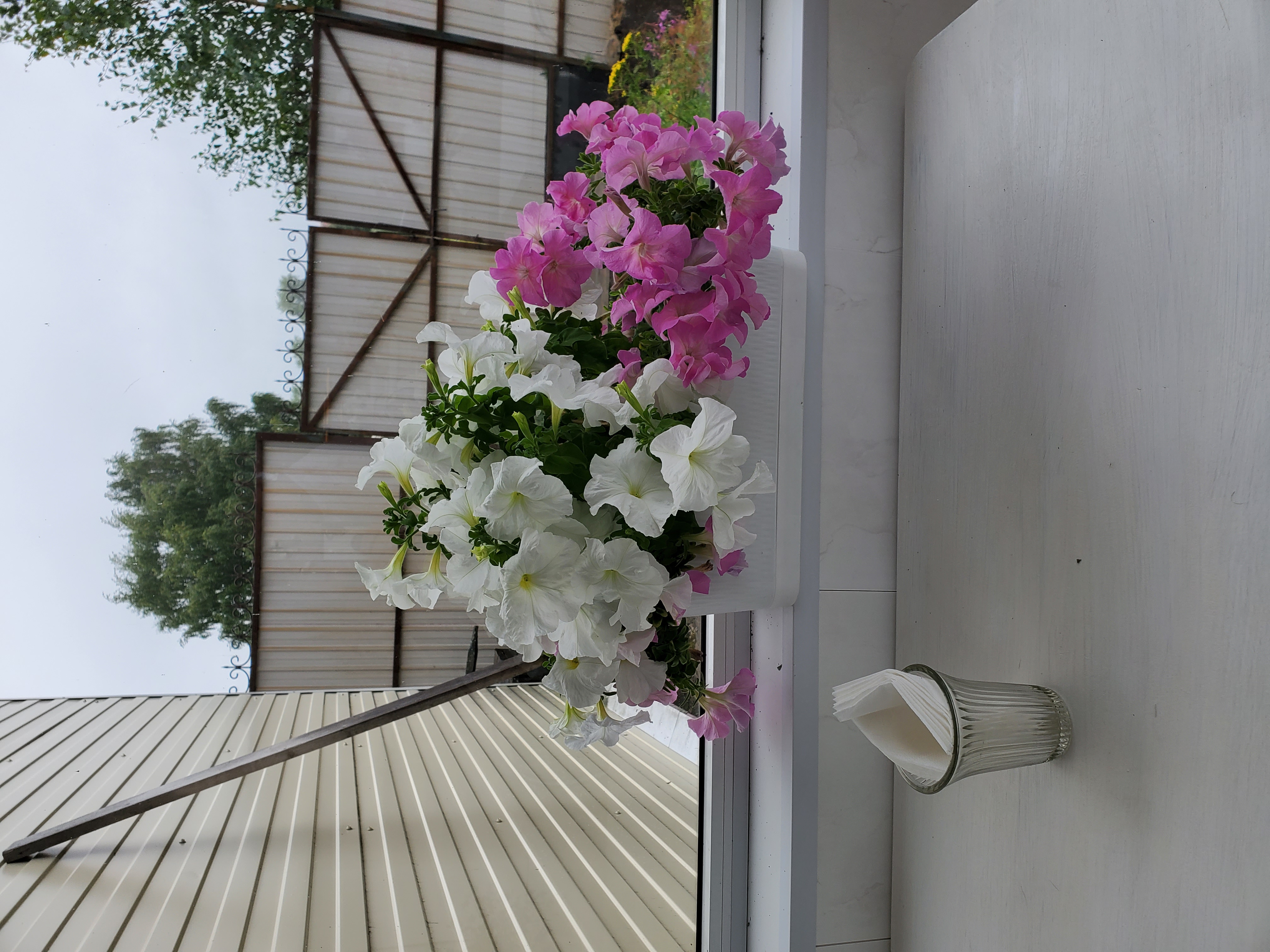 Фото Kodi järvi