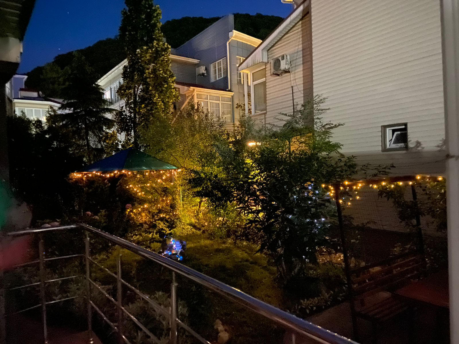 Фото Лаванда