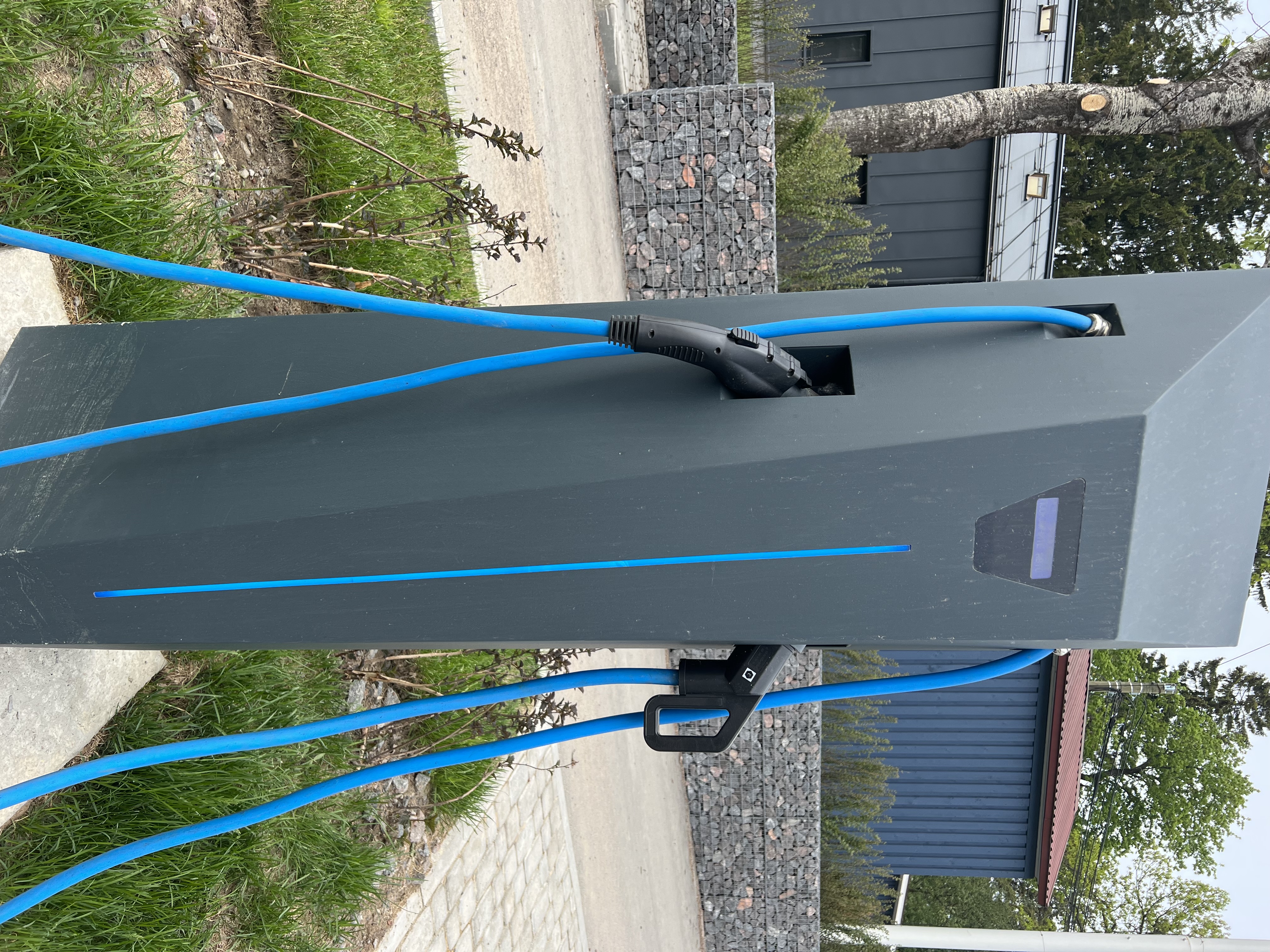 Фото Терве Ранта