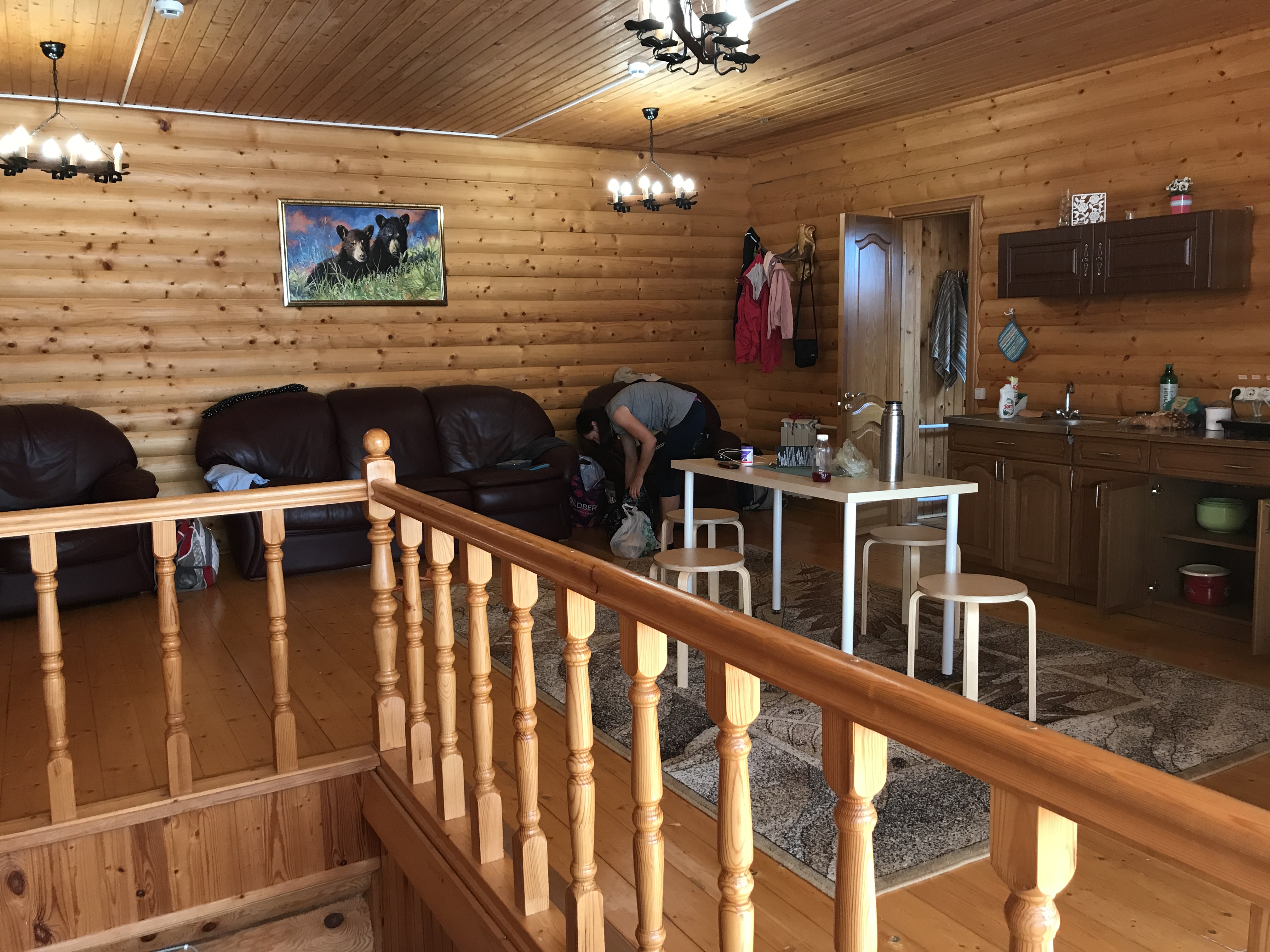 Фото Можжевеловый бор