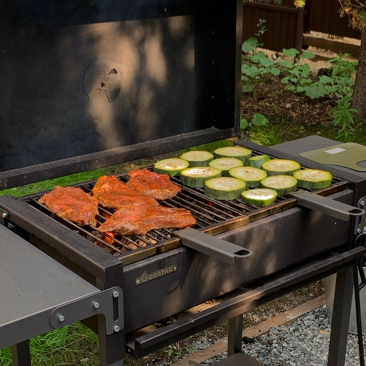 Фото Хворост