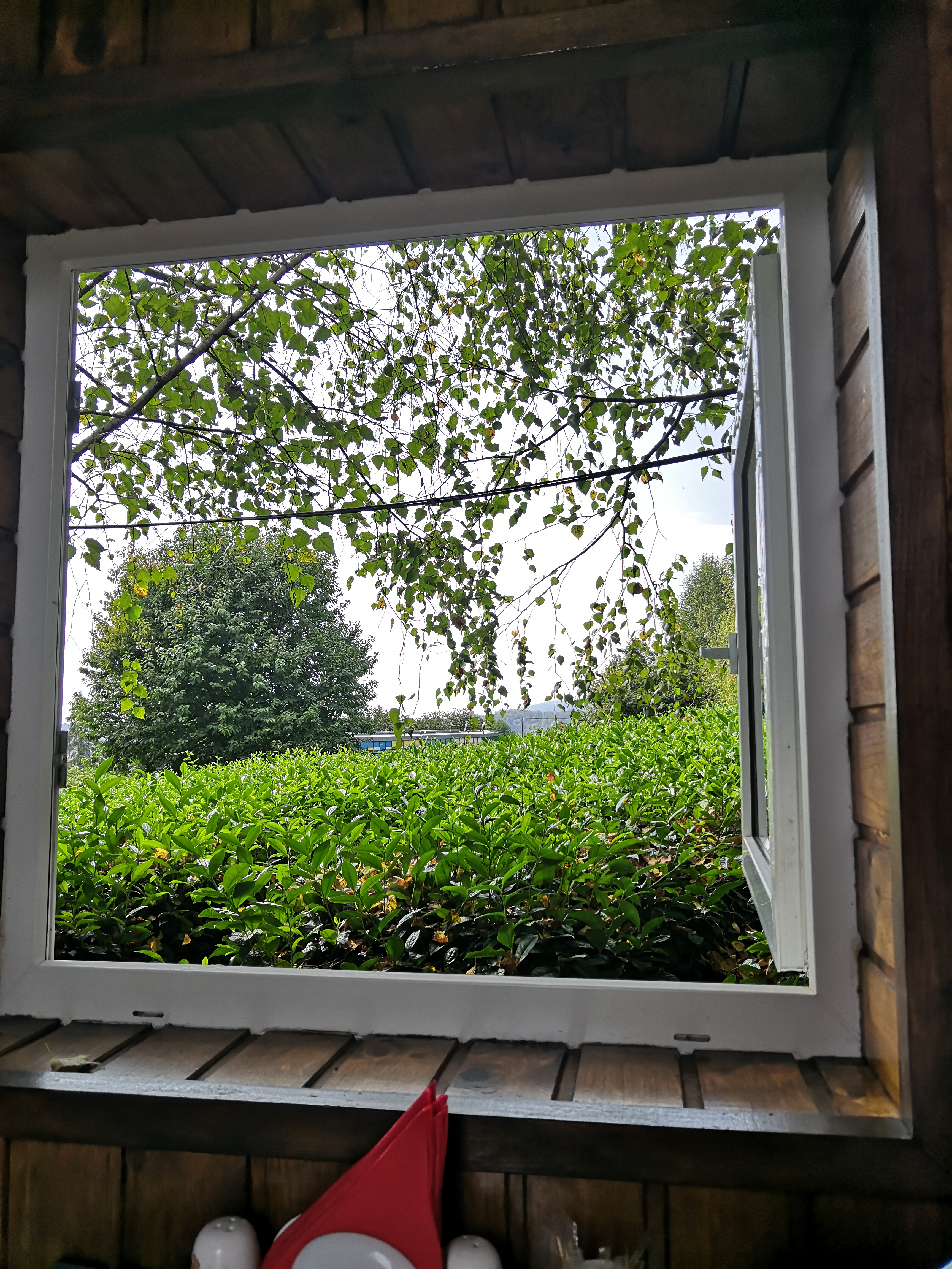 Фото Горный Эдем