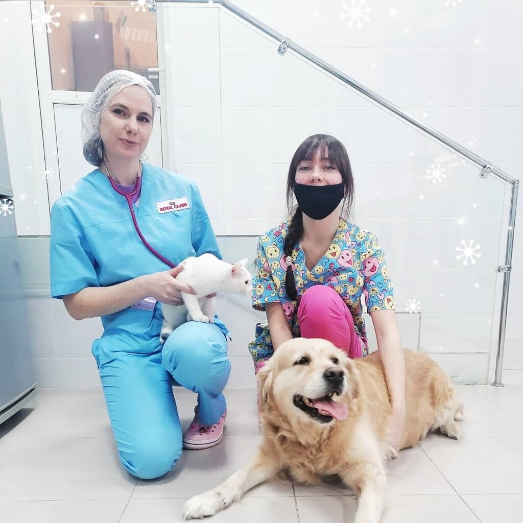 Veterinary clinic Sortavala Veterinary Station, Sortavala, photo