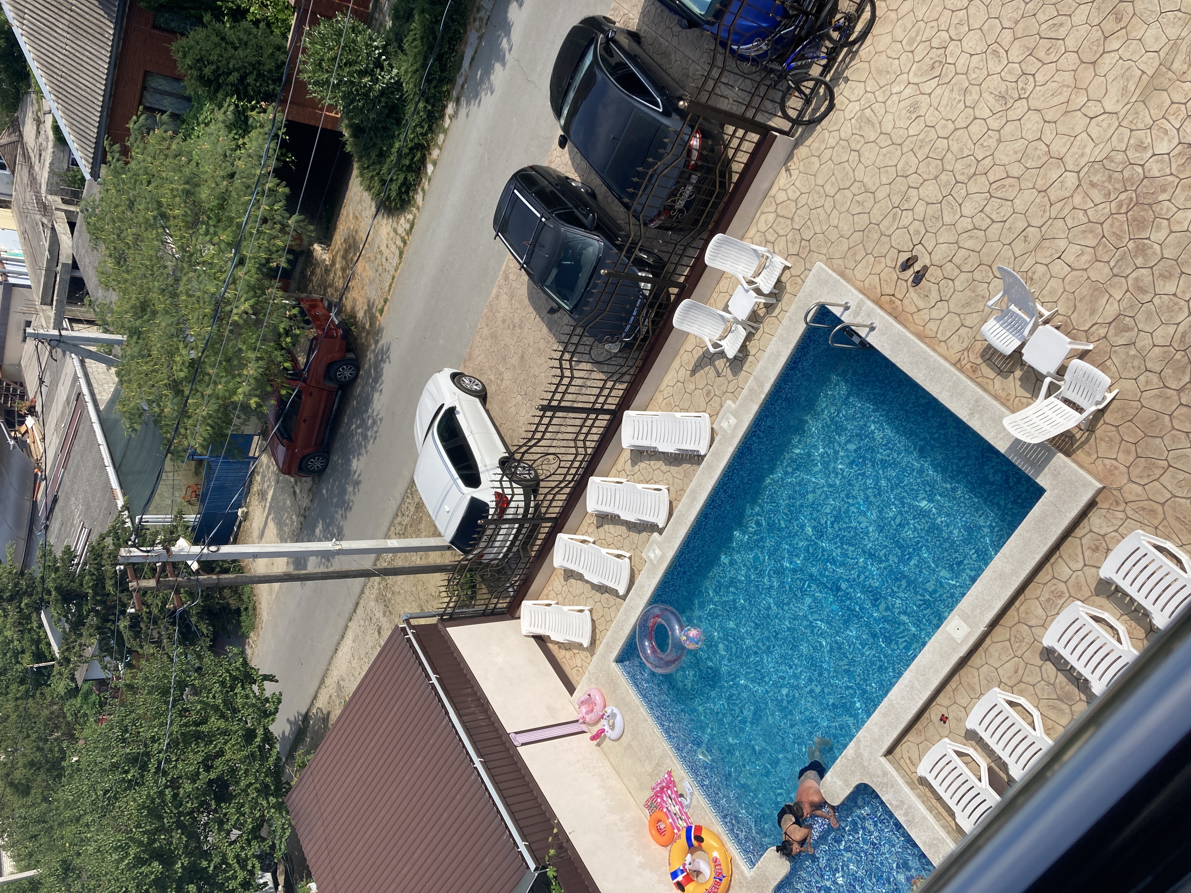 Фото Алкеста