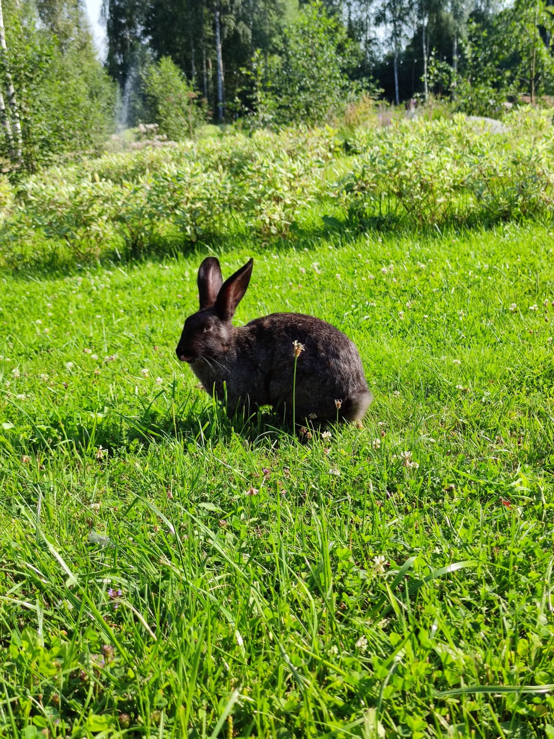 Фото Русская Красавица