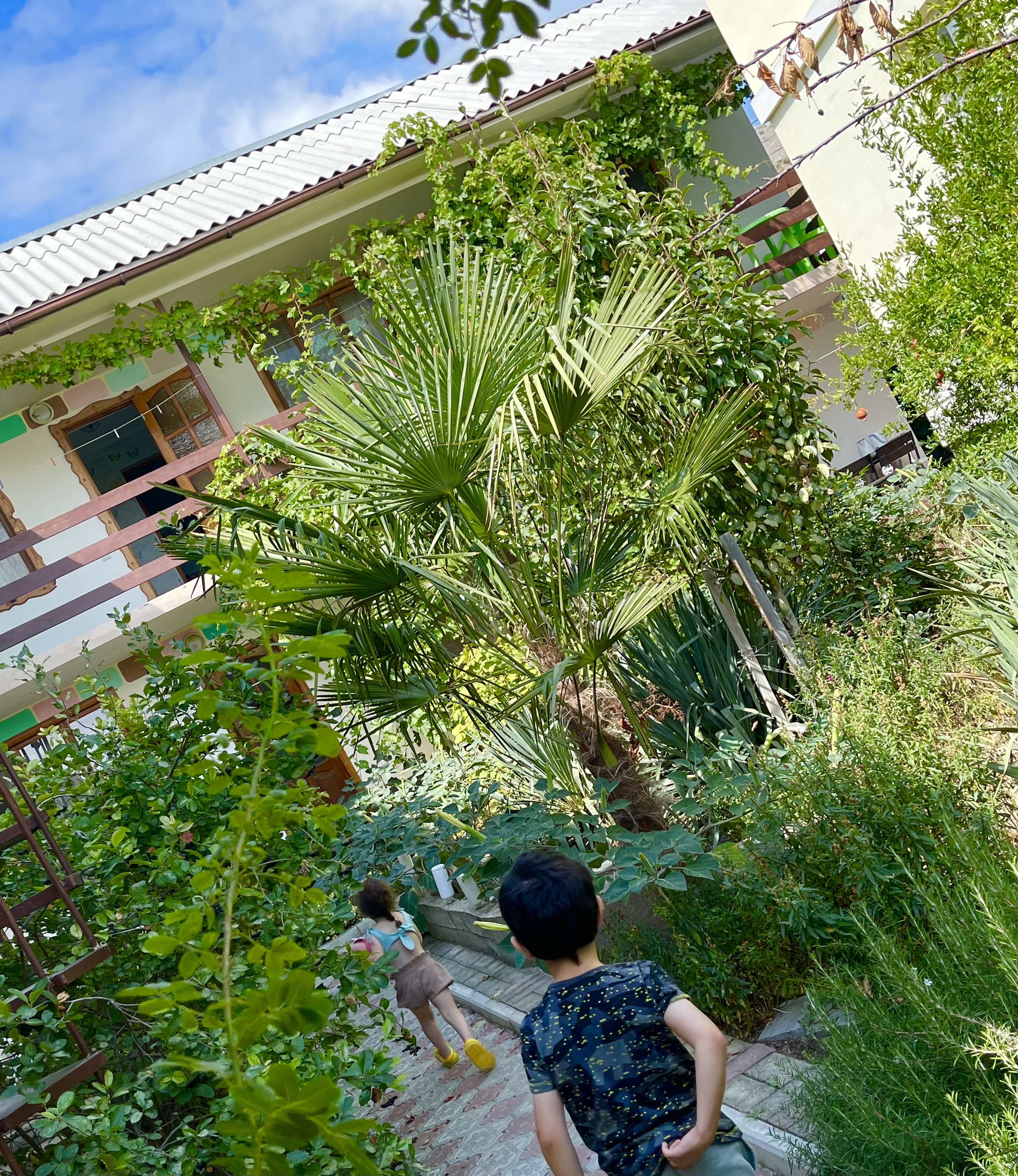 Фото отеля 4