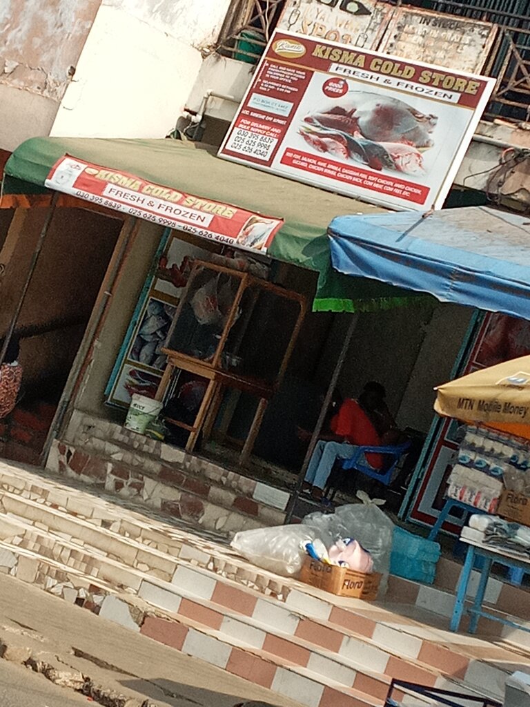Frozen food products Kisma coldstore, Accra, photo