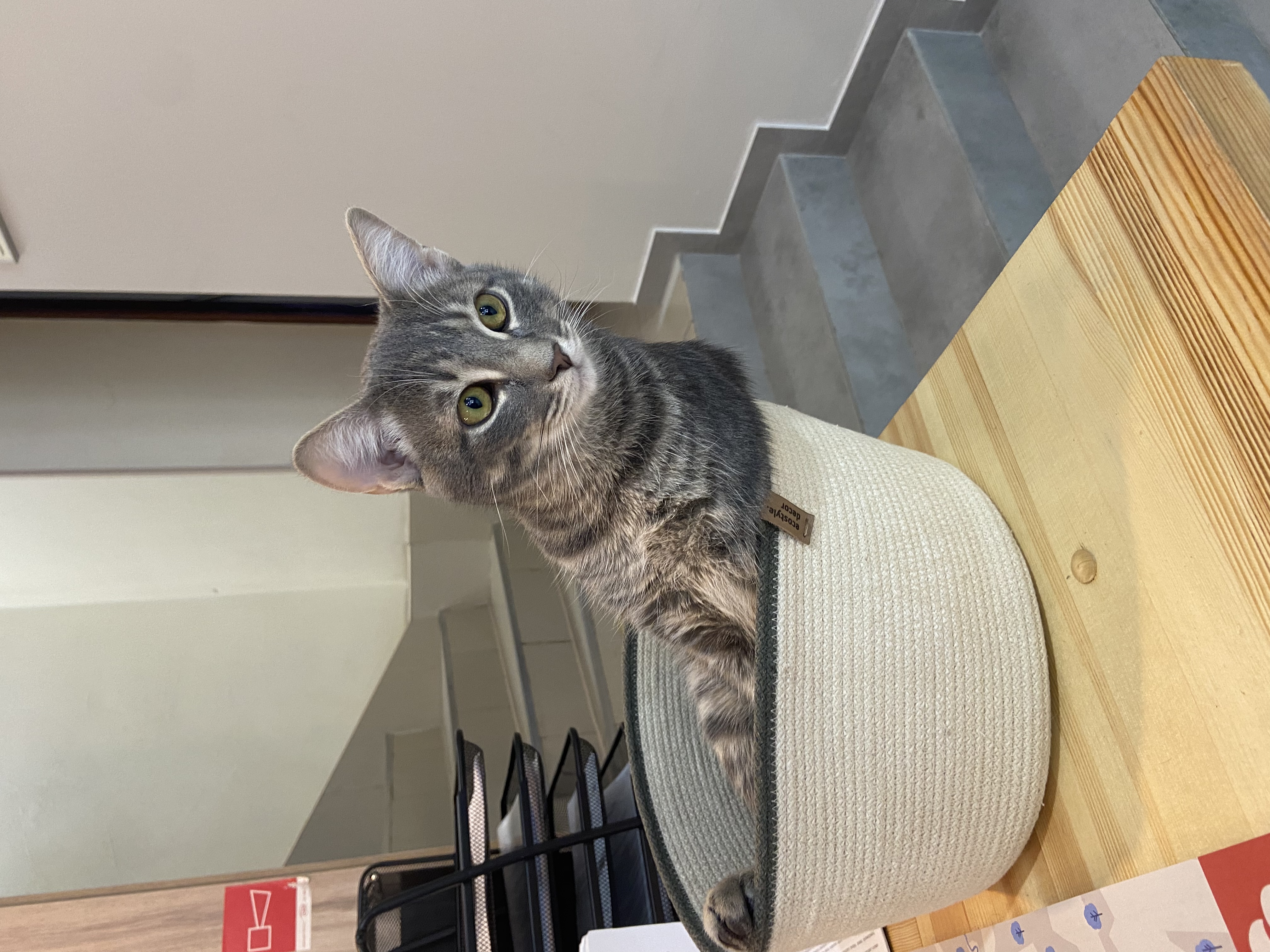 Фото Сны города