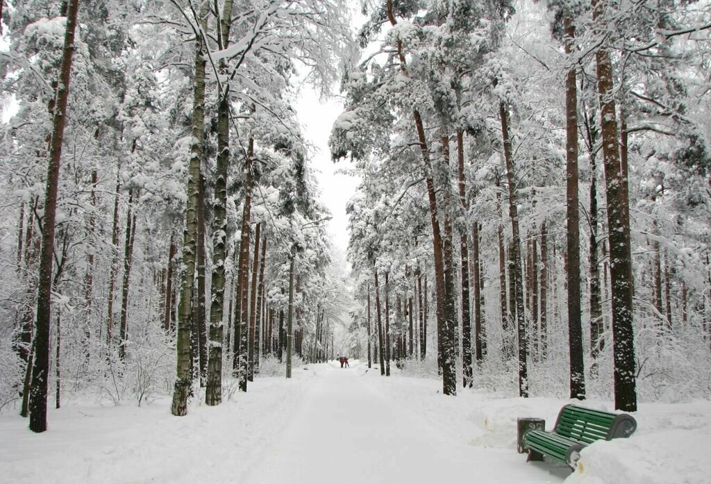 Парк культуры и отдыха Сосновка, Санкт‑Петербург, фото