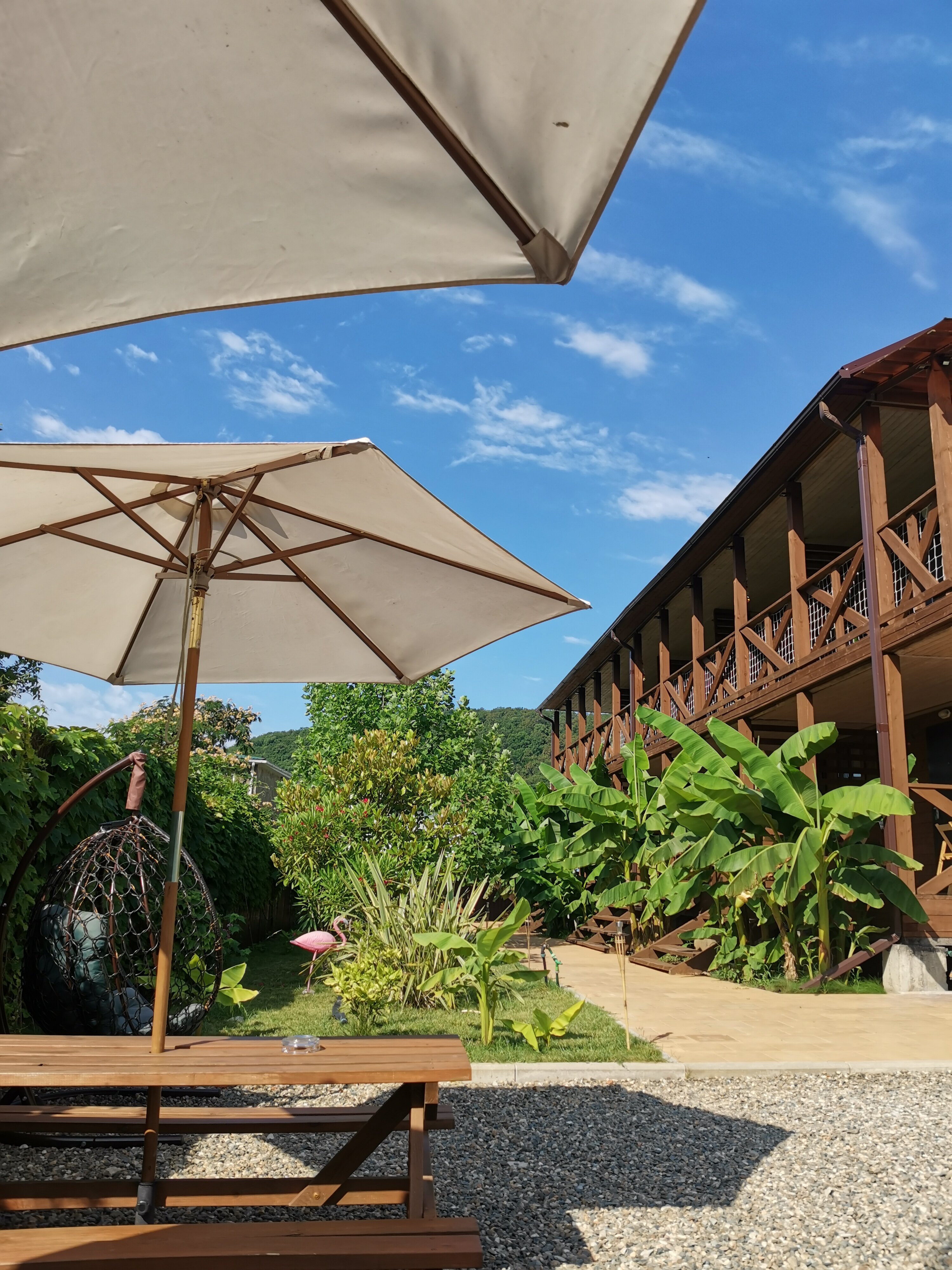 Фото Баунти