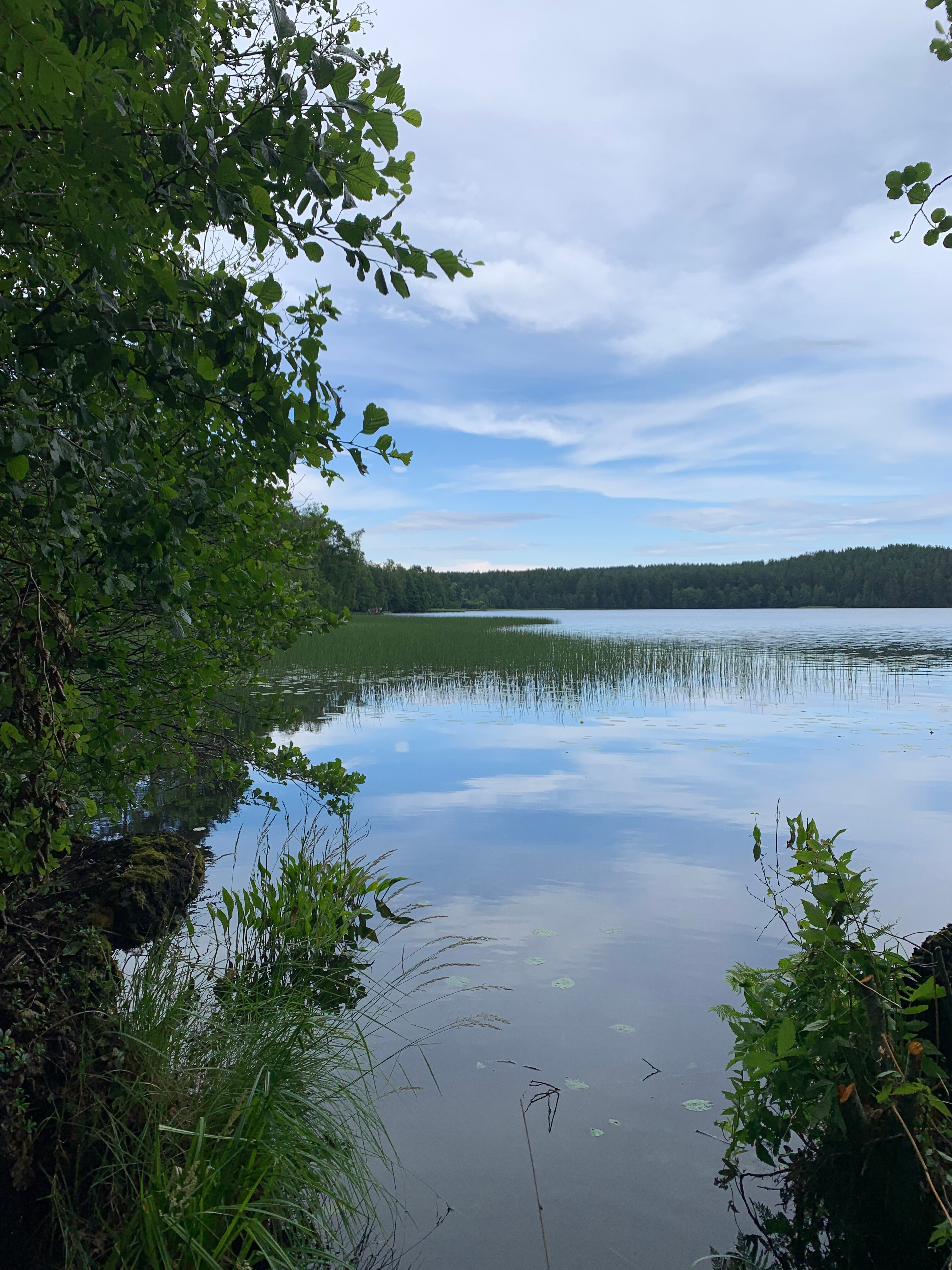 Фото Лес и Гора