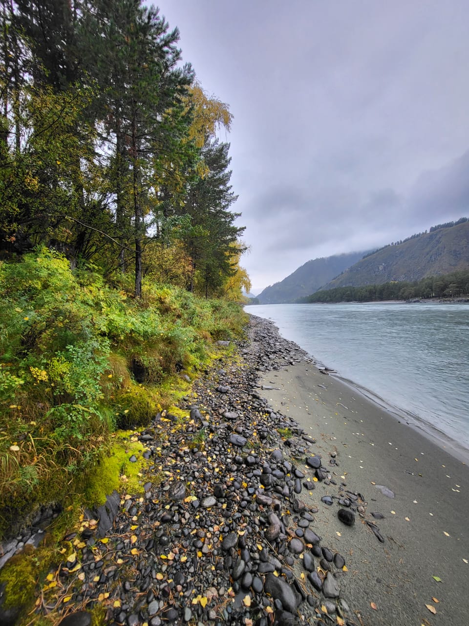 Фото Клубника & Мята