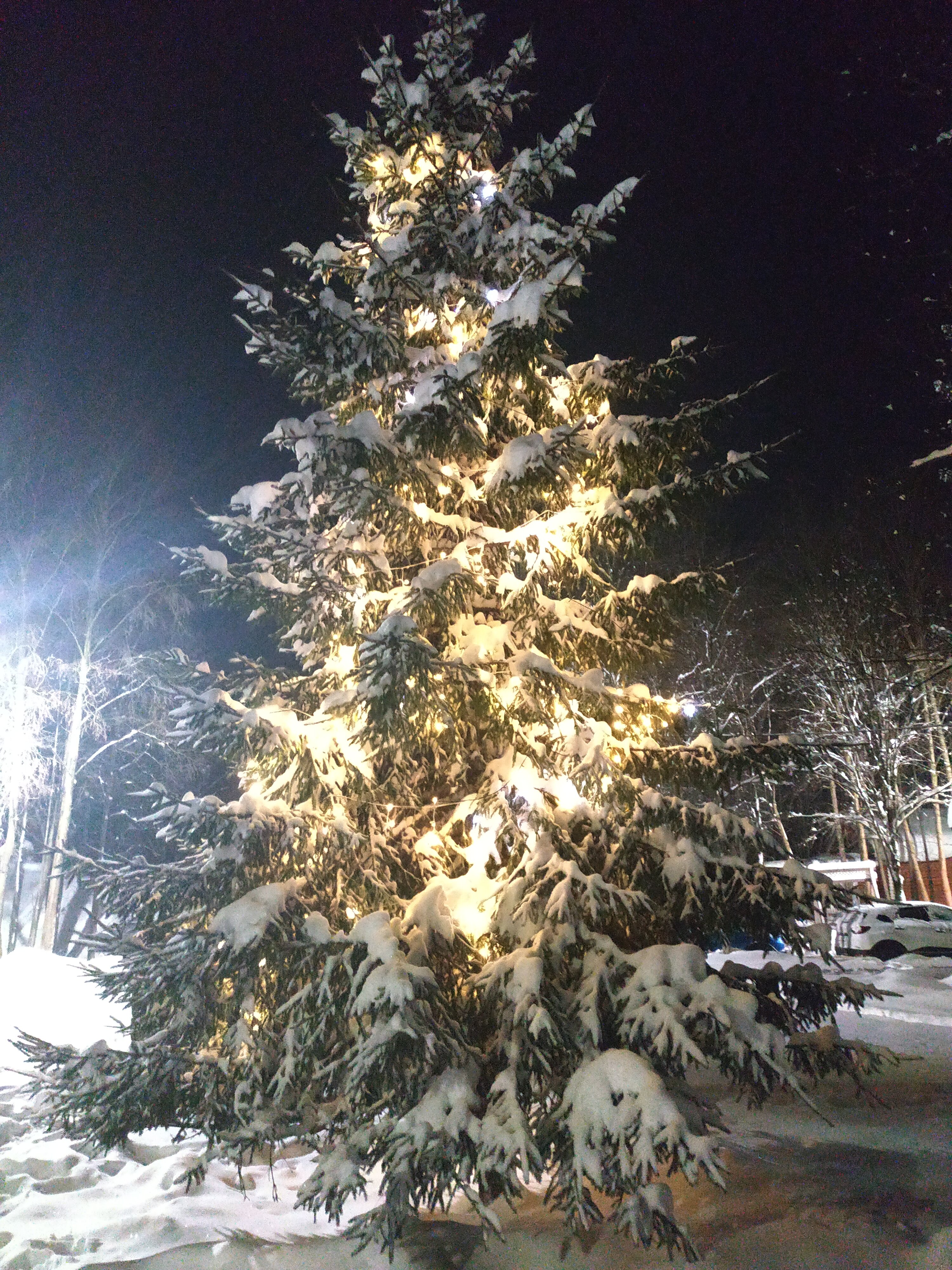 Фото Северное сияние