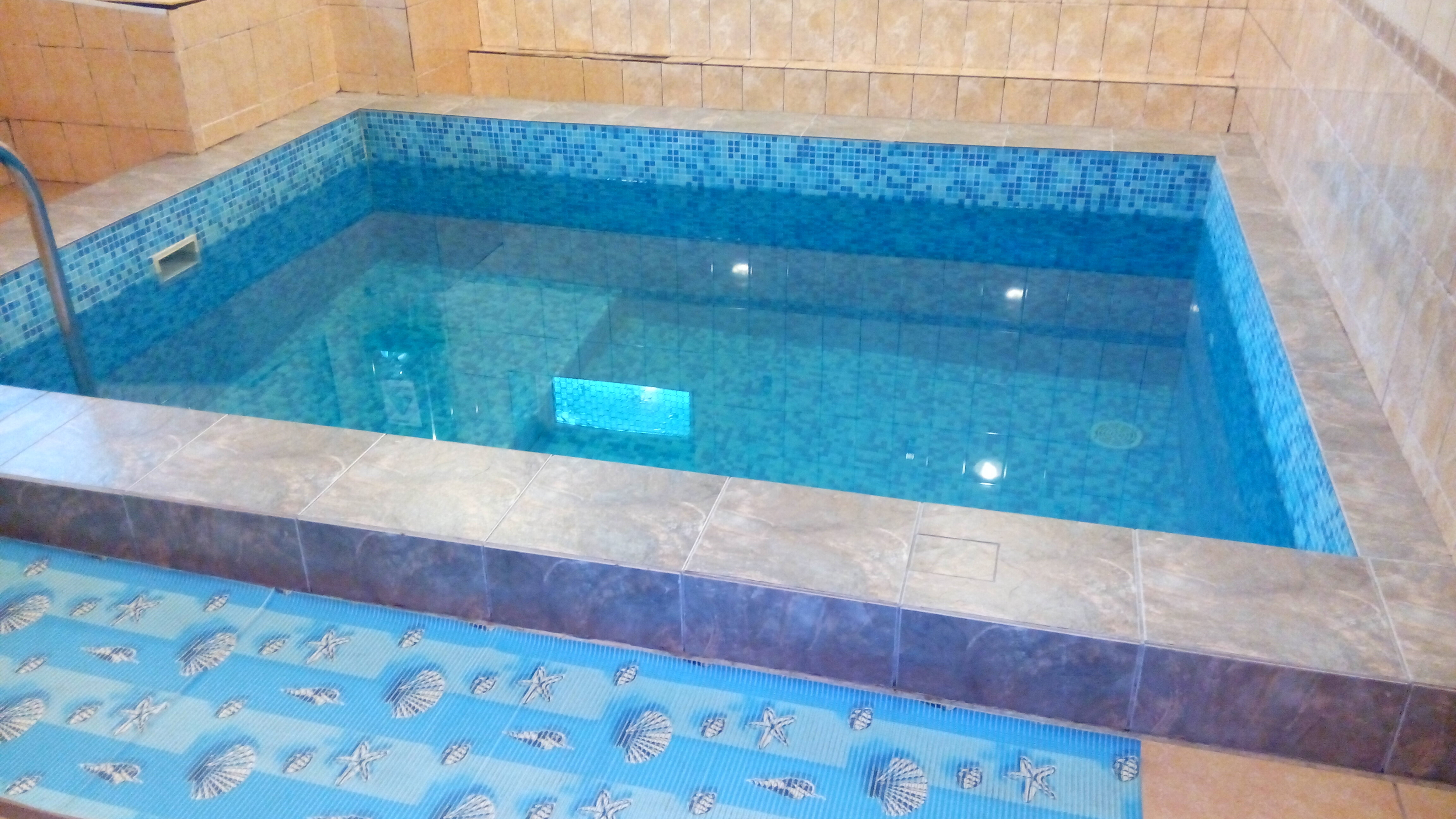 Фото Колибри