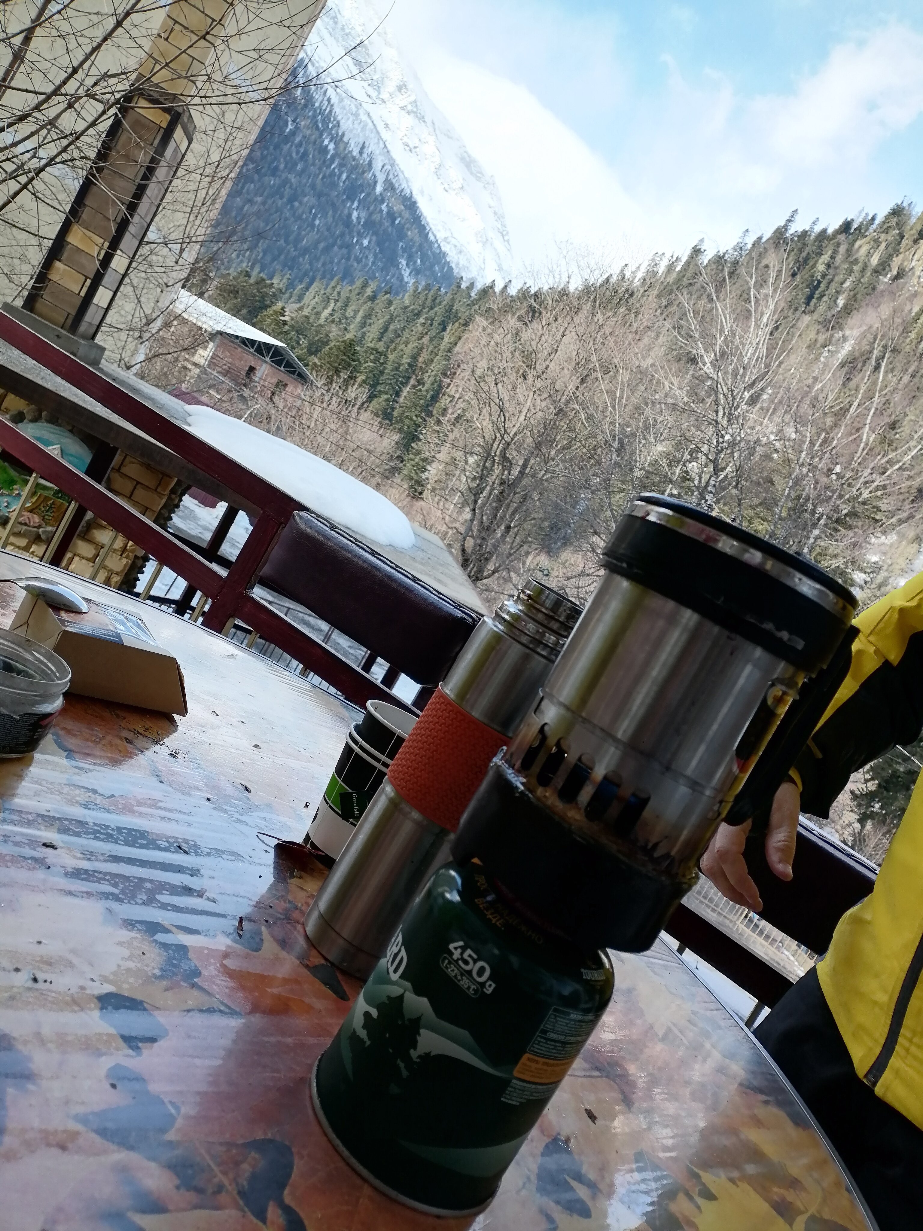 Фото Старый Клён