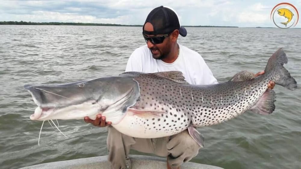 Фото Grand Crucero Fishing Lodge