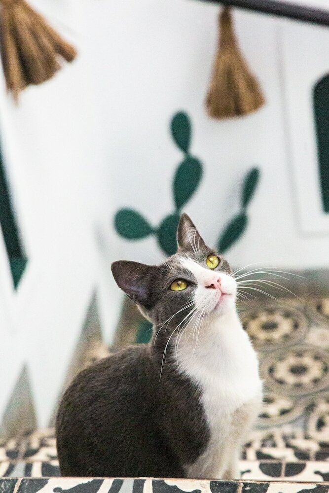 Фото Riad Danka Boutique Hôtel