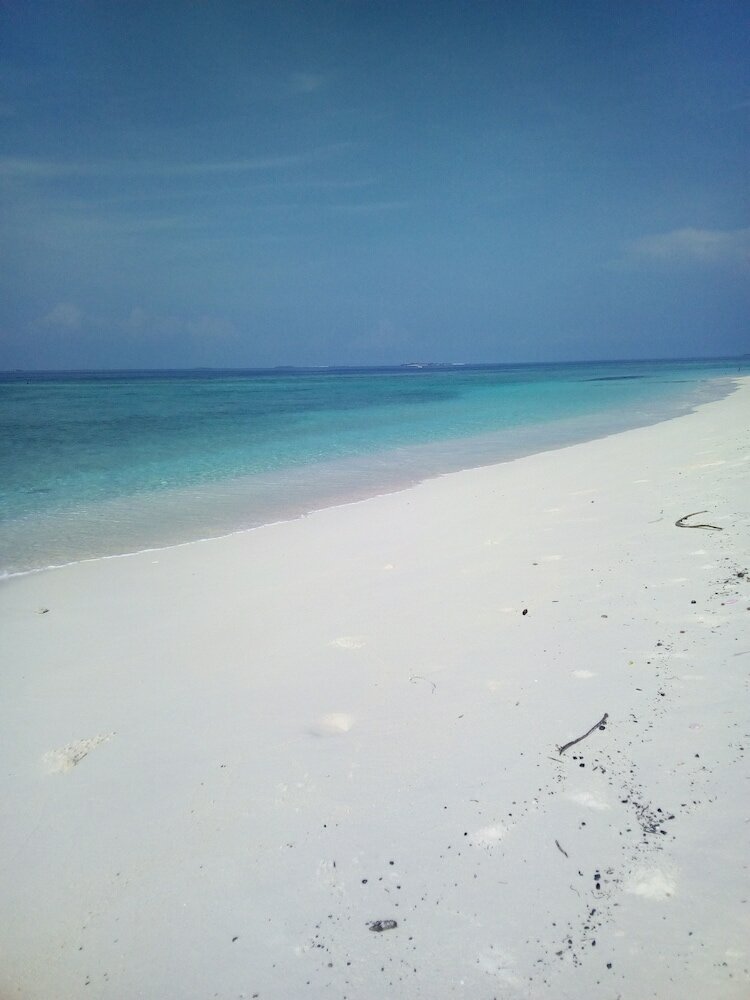 Фото Ungoofaaru Inn