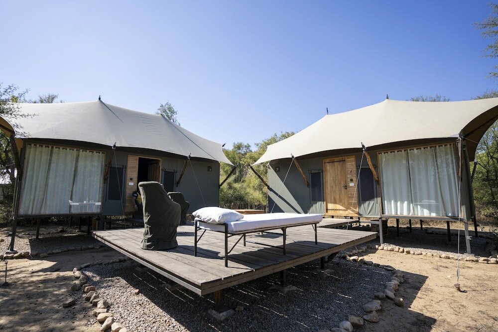 Фото Trees & Tigers