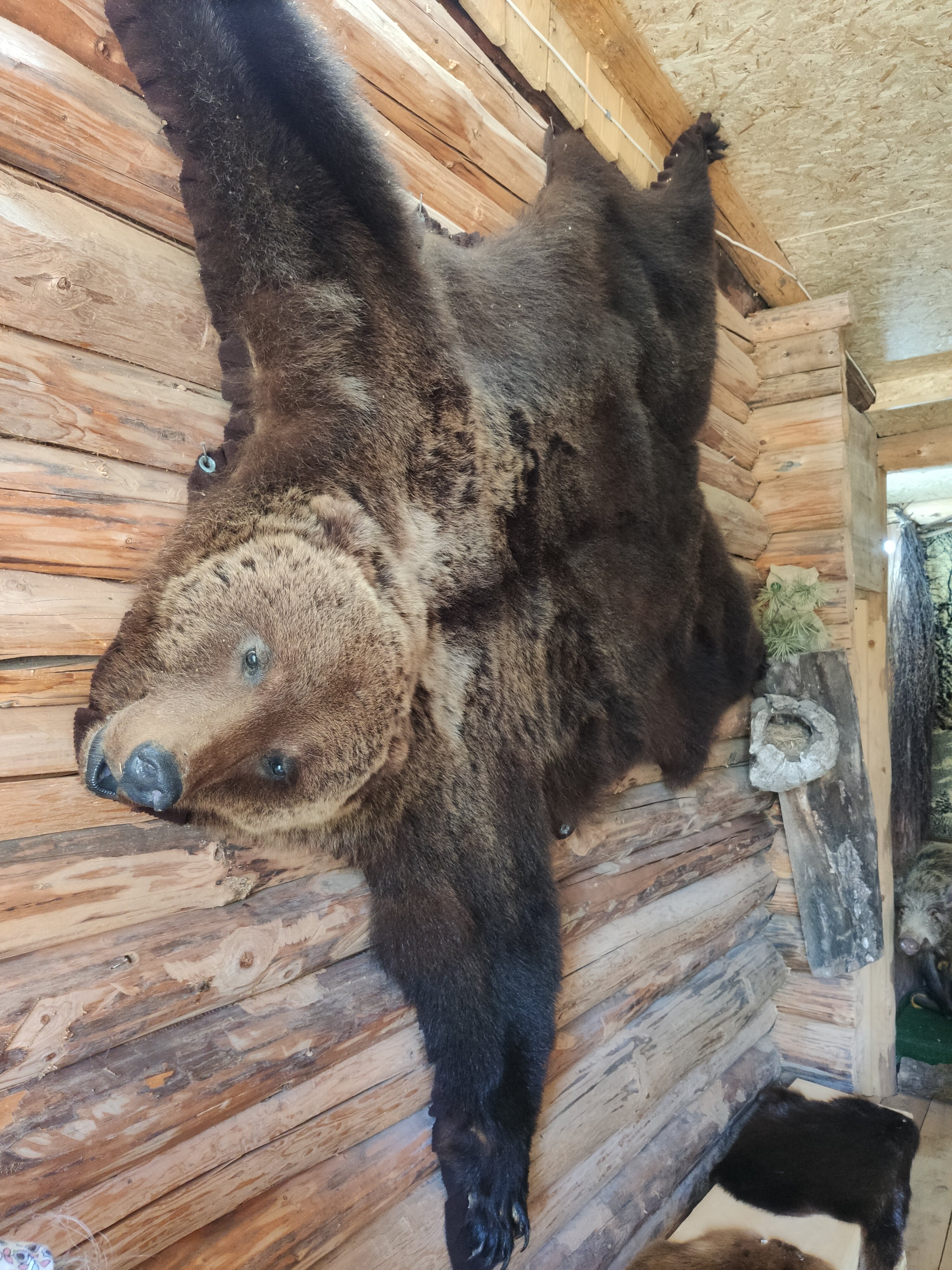 Фото Этнокомплекс Живица