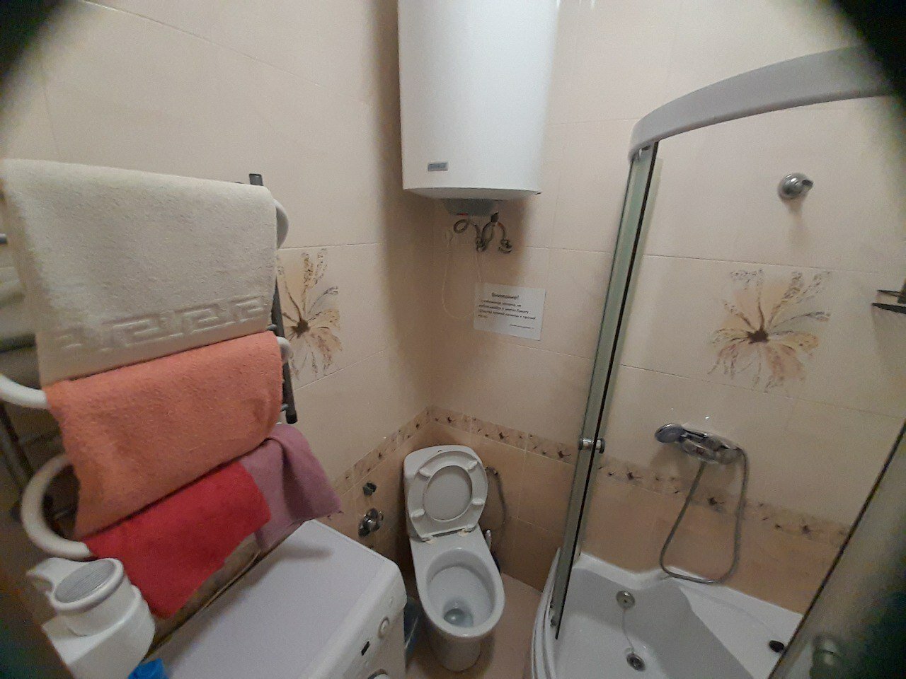 Фото Алупка Роза